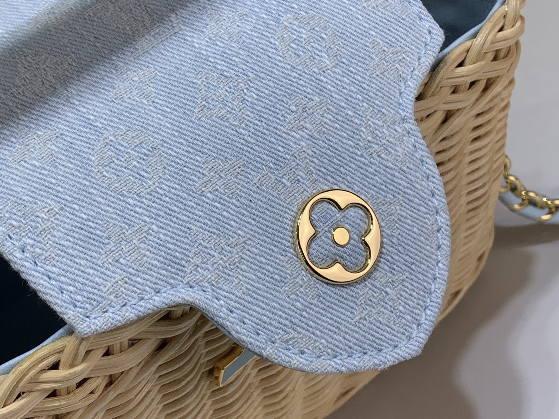 Louis Vuitton CAPUCINES everyday