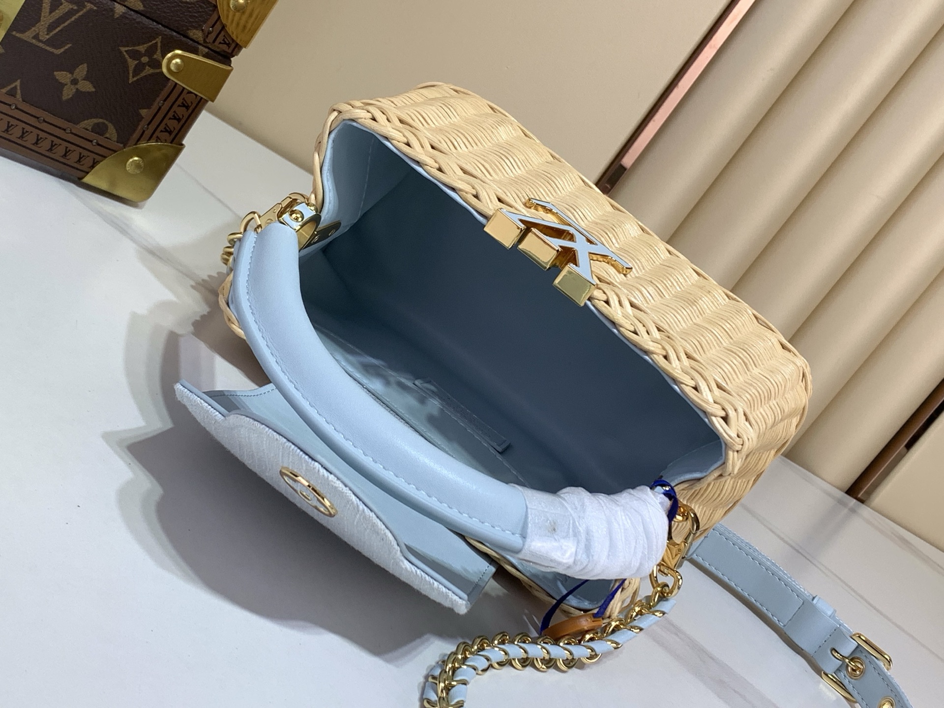 Louis Vuitton CAPUCINES everyday