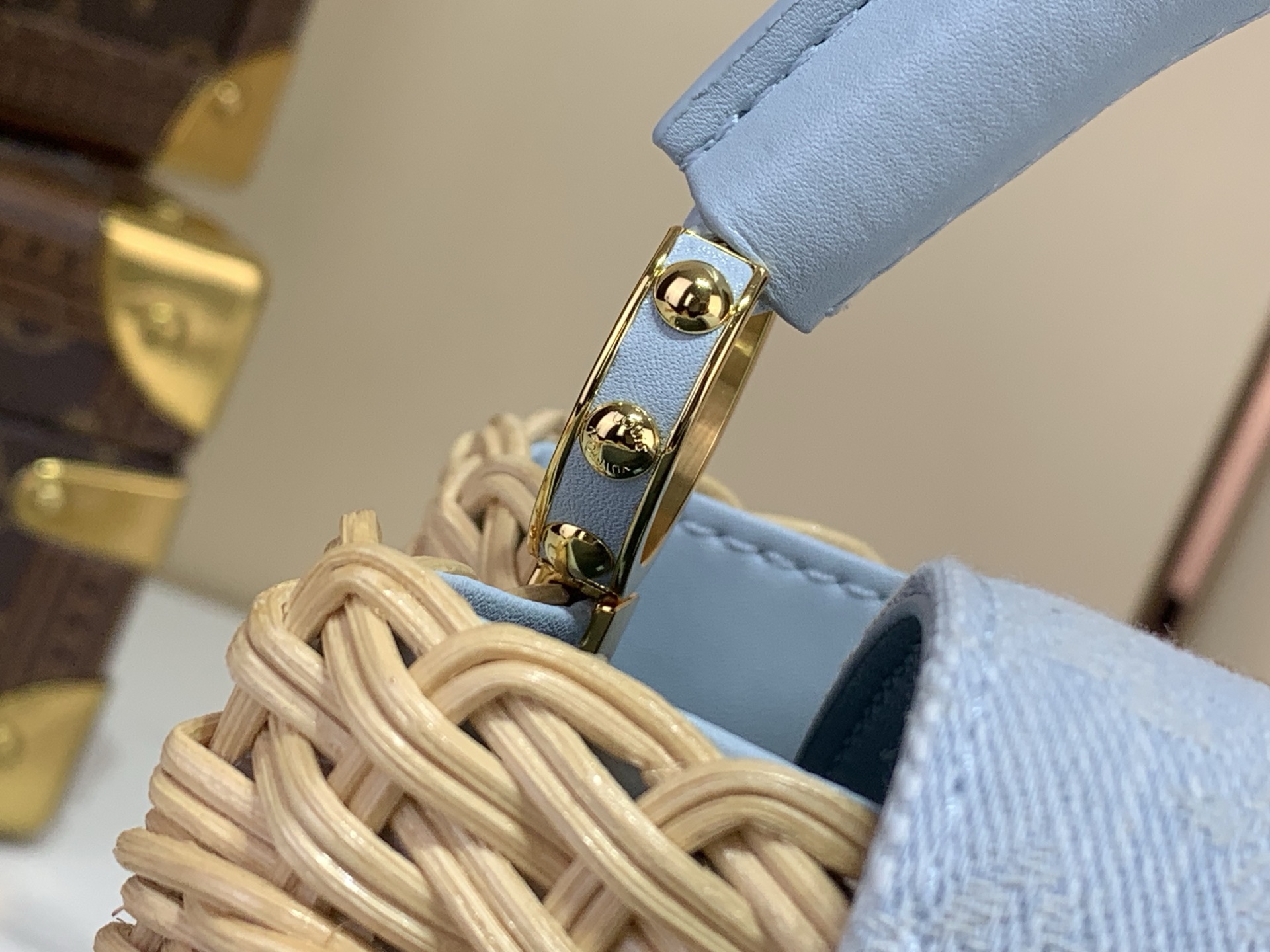 Louis Vuitton CAPUCINES everyday