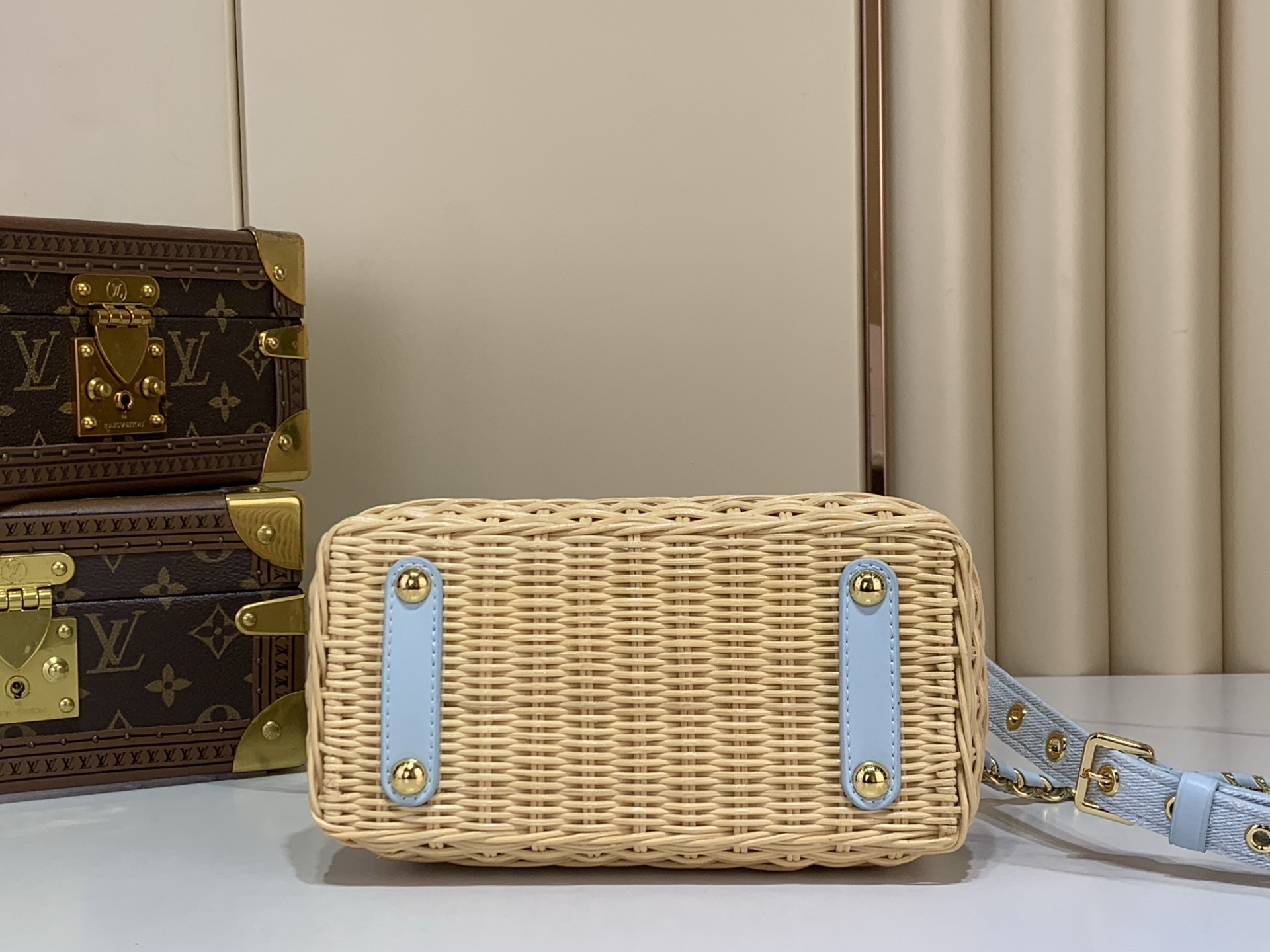 Louis Vuitton CAPUCINES everyday