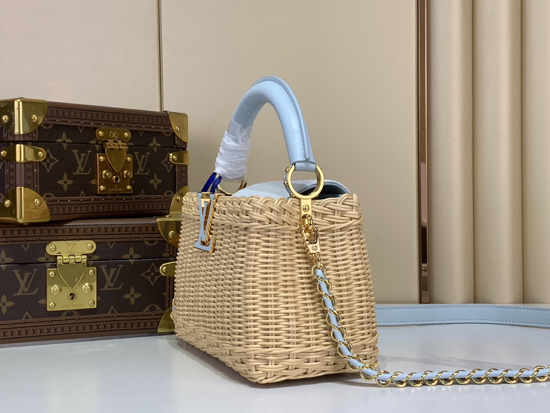 Louis Vuitton CAPUCINES everyday