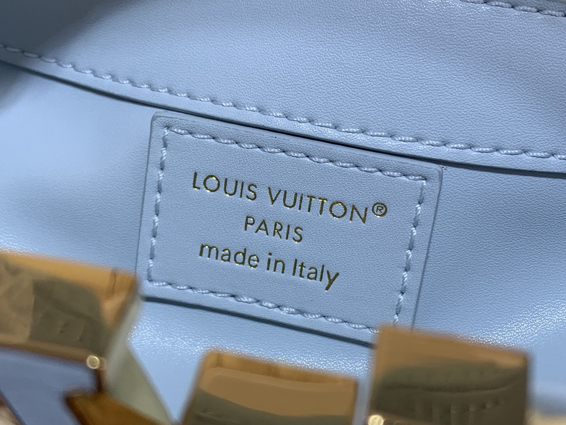 Louis Vuitton CAPUCINES everyday