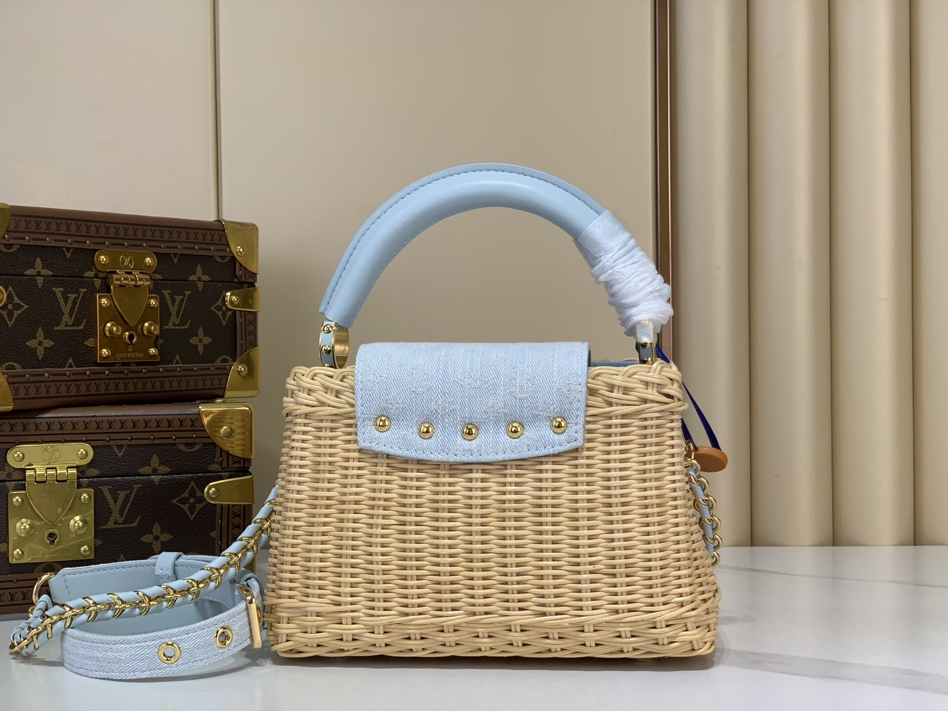 Louis Vuitton CAPUCINES everyday