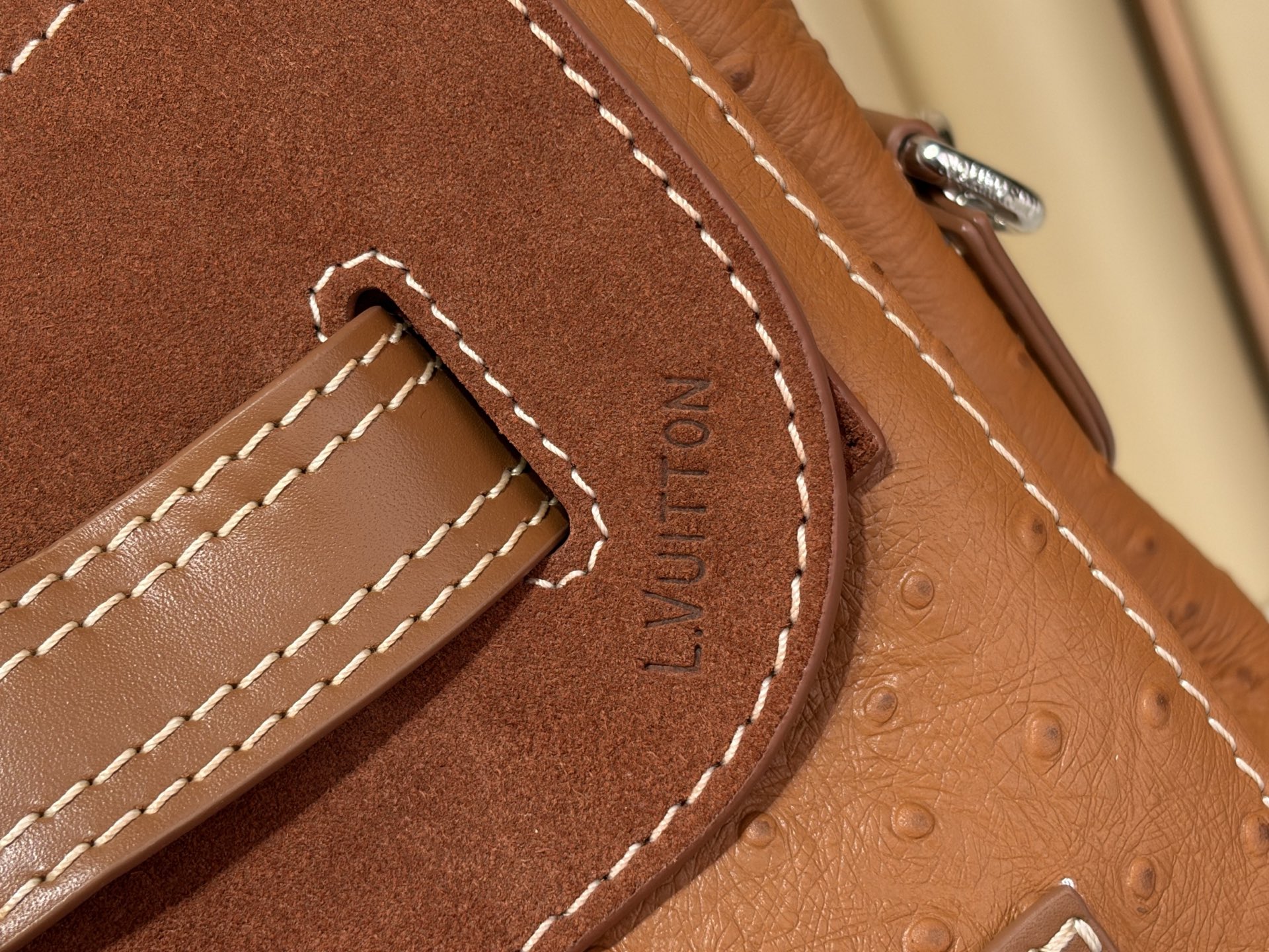 Louis Vuitton everyday