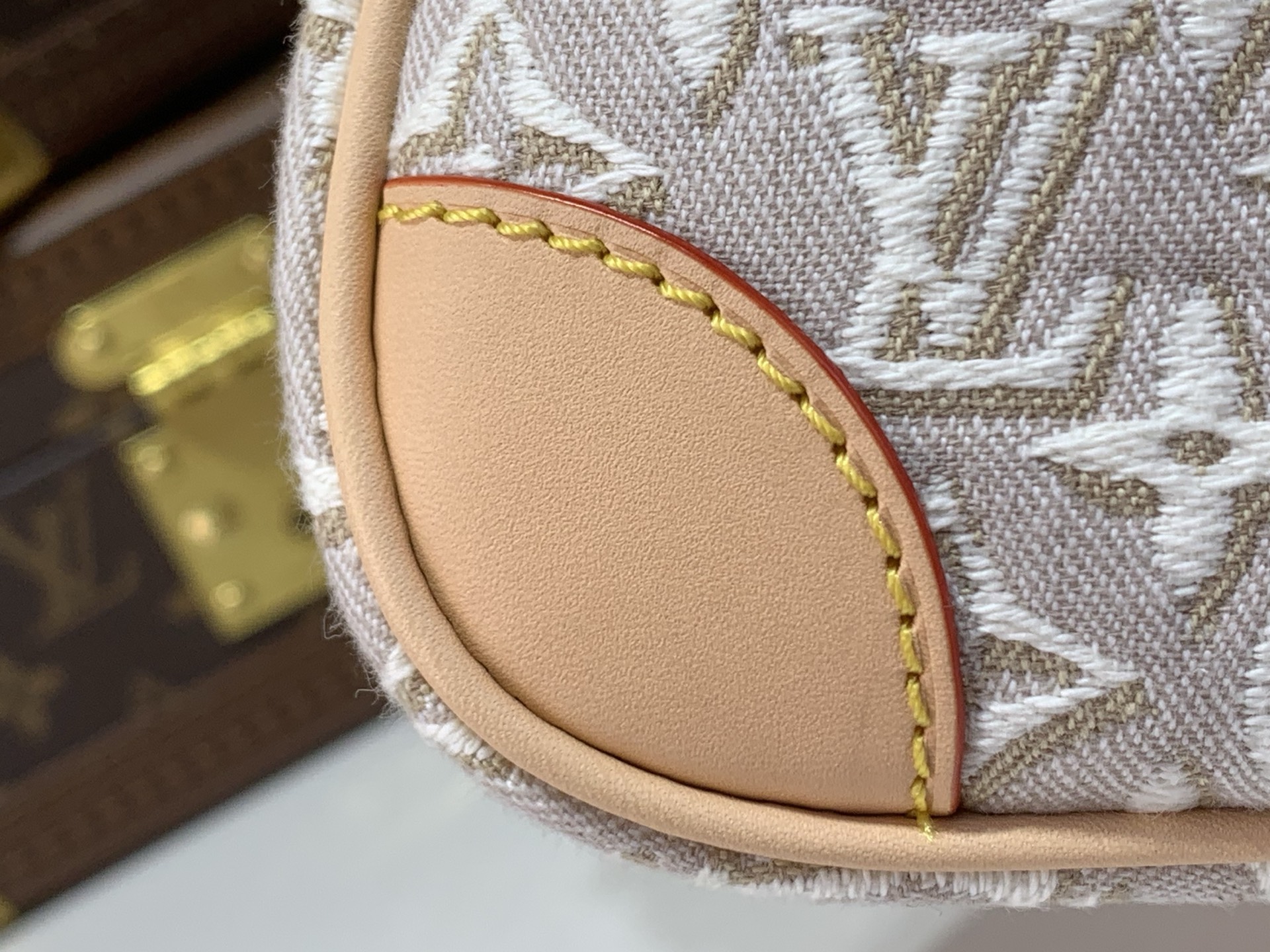 Louis Vuitton Luxury Handbag Collection 9