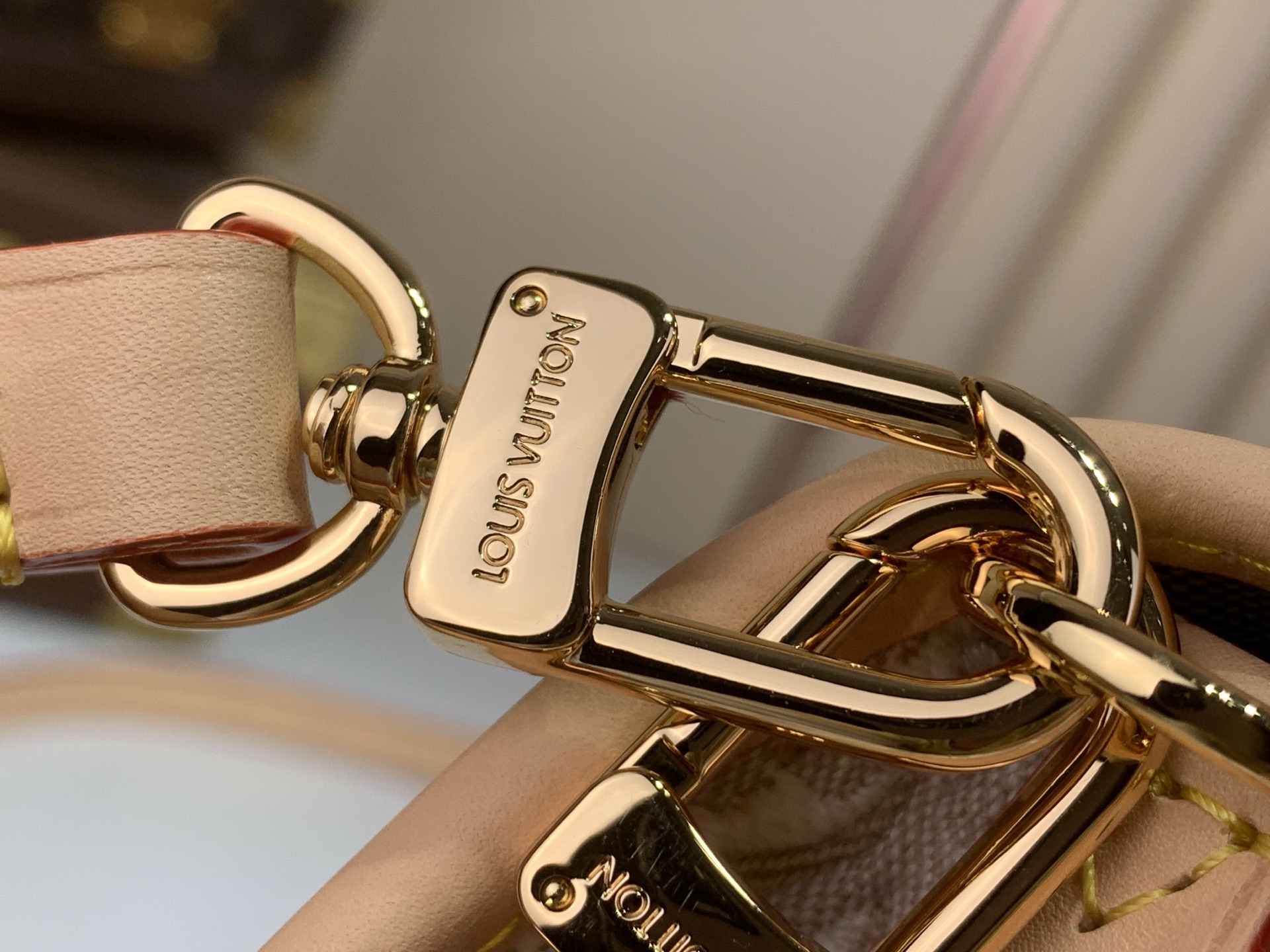 Louis Vuitton Luxury Handbag Collection 6