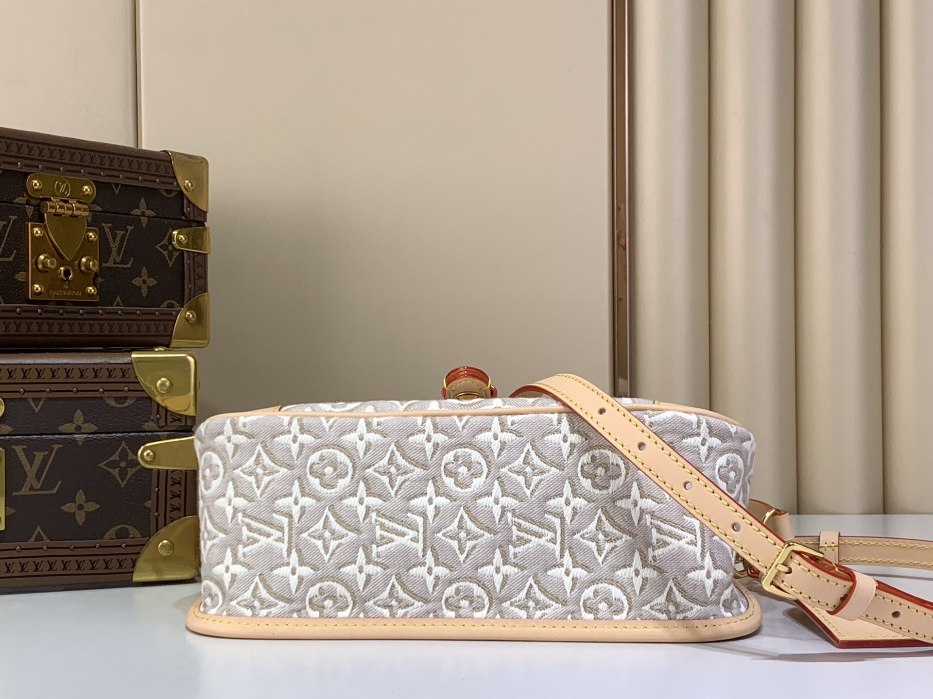 Louis Vuitton Luxury Handbag Collection 4