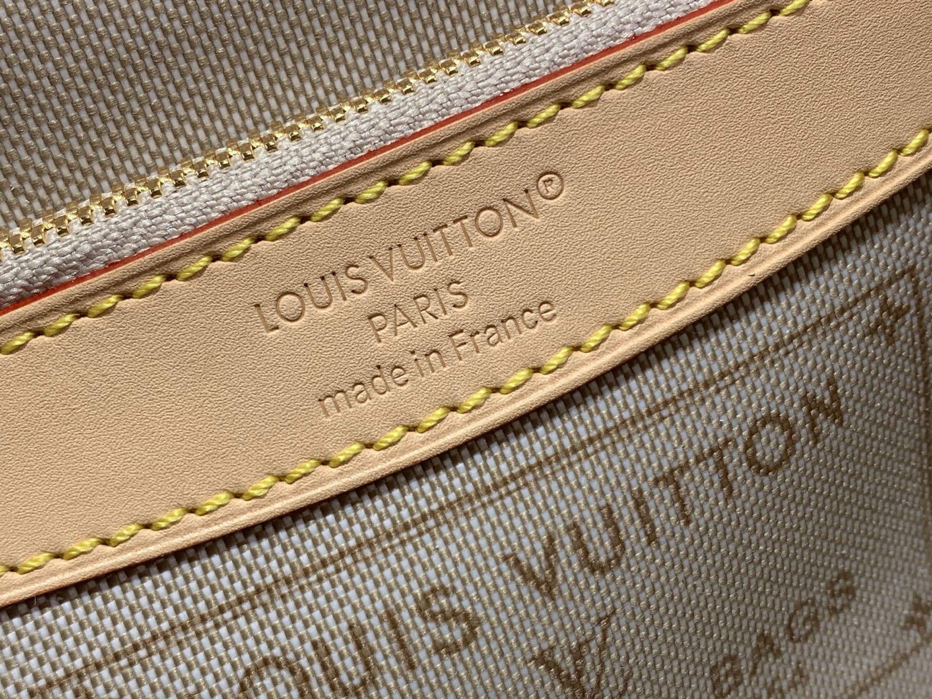 Louis Vuitton Luxury Handbag Collection 7