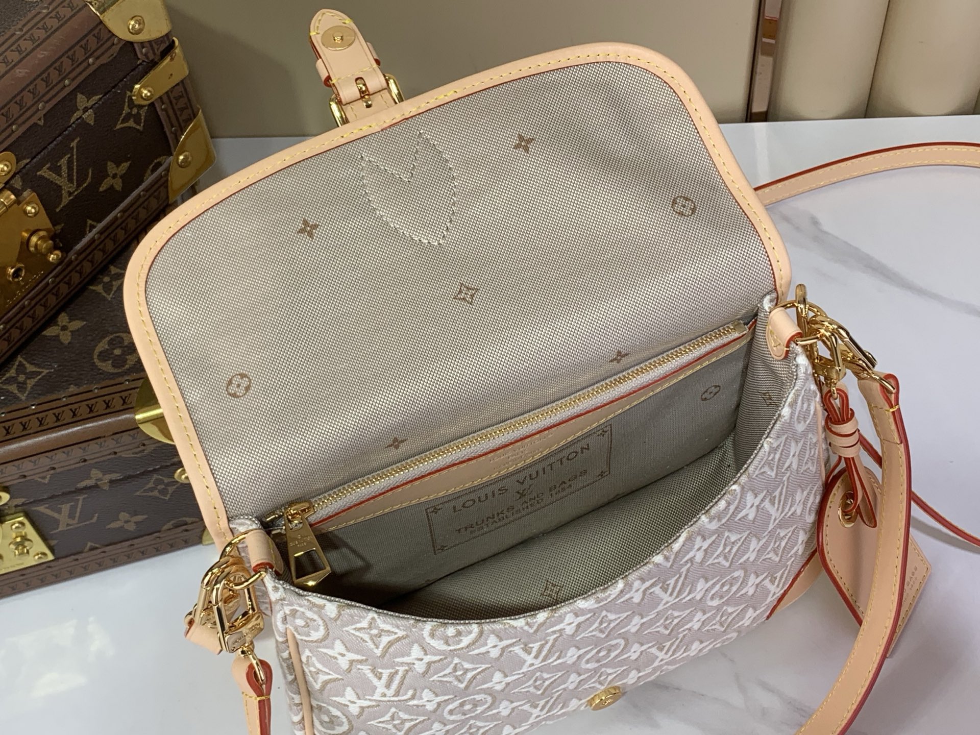 Louis Vuitton Luxury Handbag Collection 8
