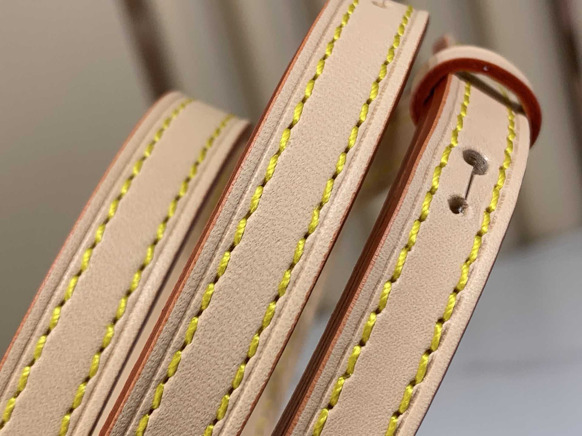 Louis Vuitton Luxury Handbag Collection 6