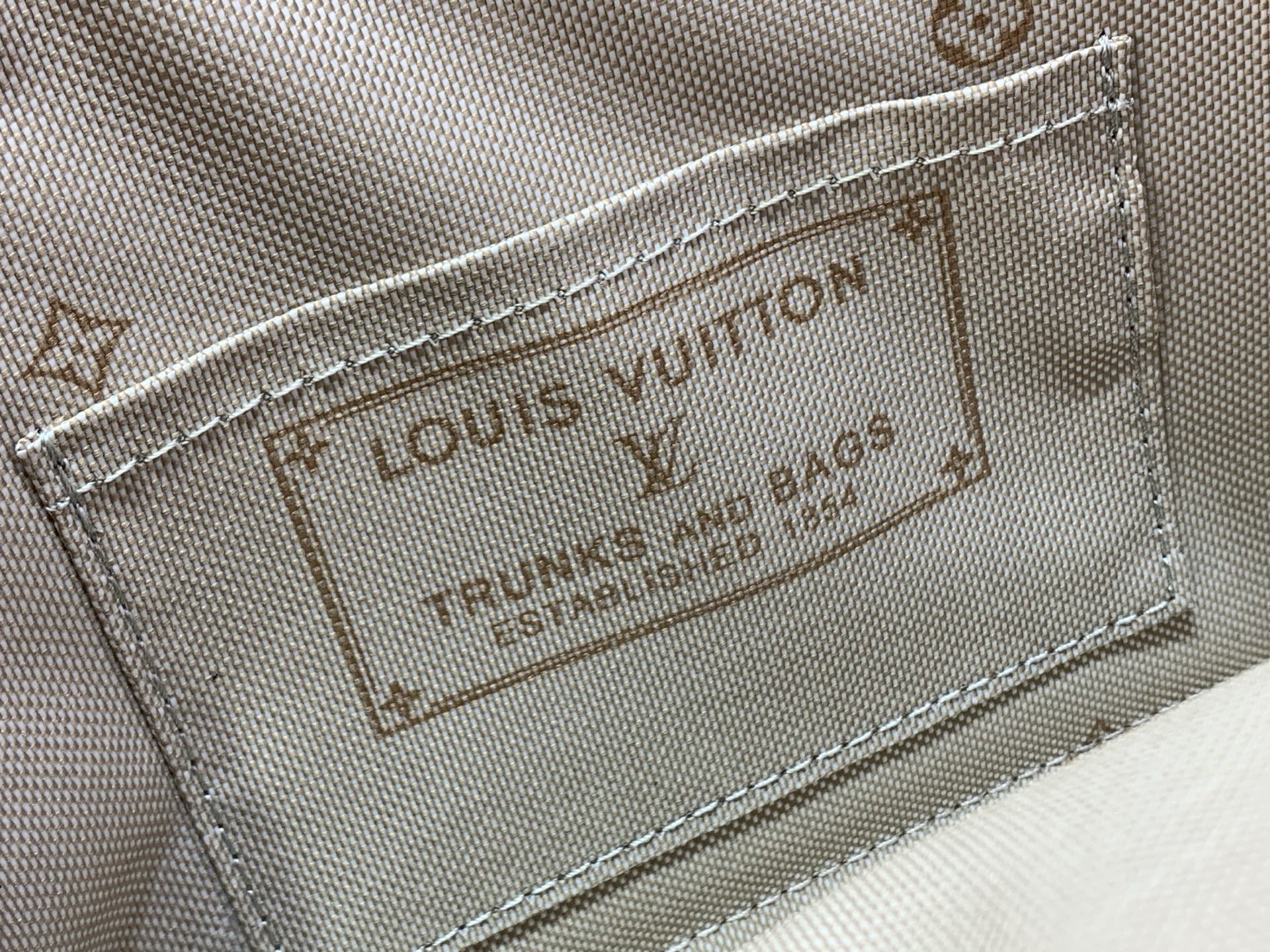 Louis Vuitton Luxury Handbag Collection 8