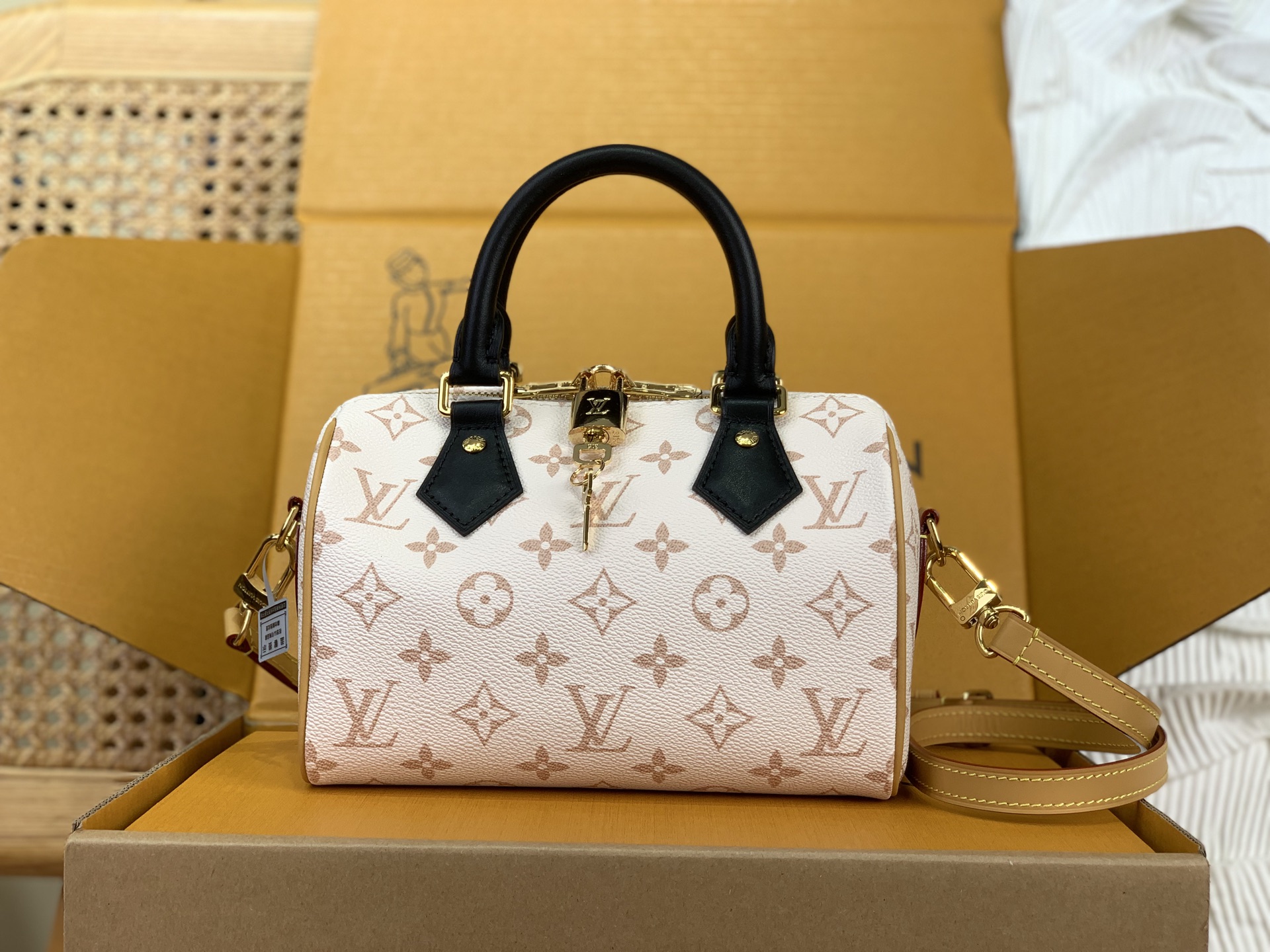 Louis Vuitton everyday