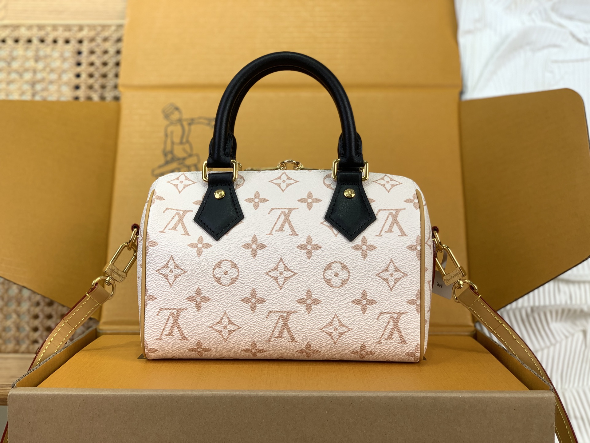 Louis Vuitton everyday
