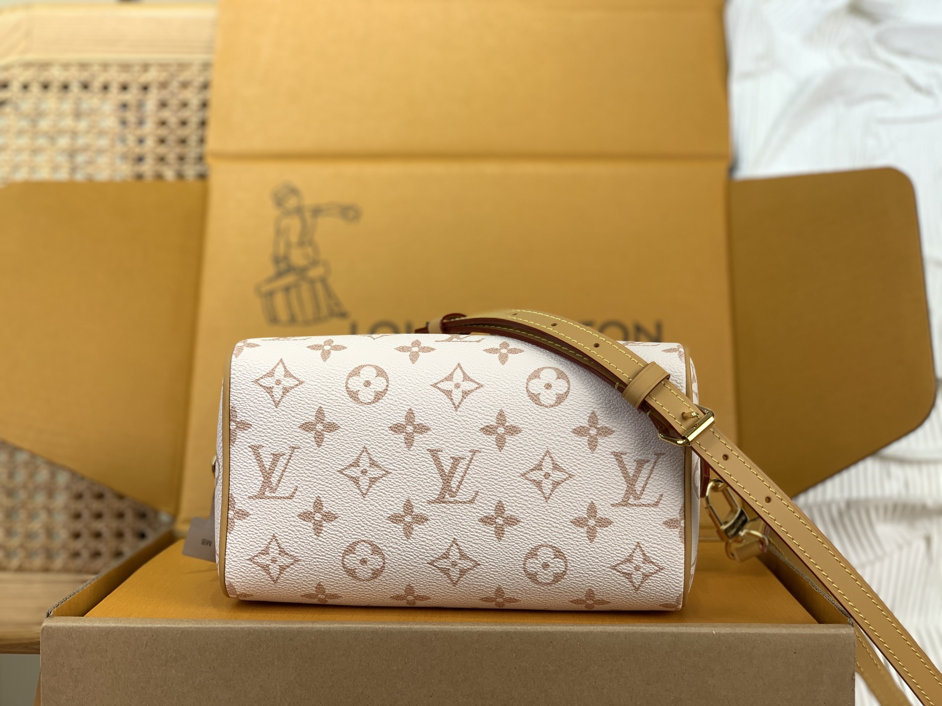 Louis Vuitton everyday