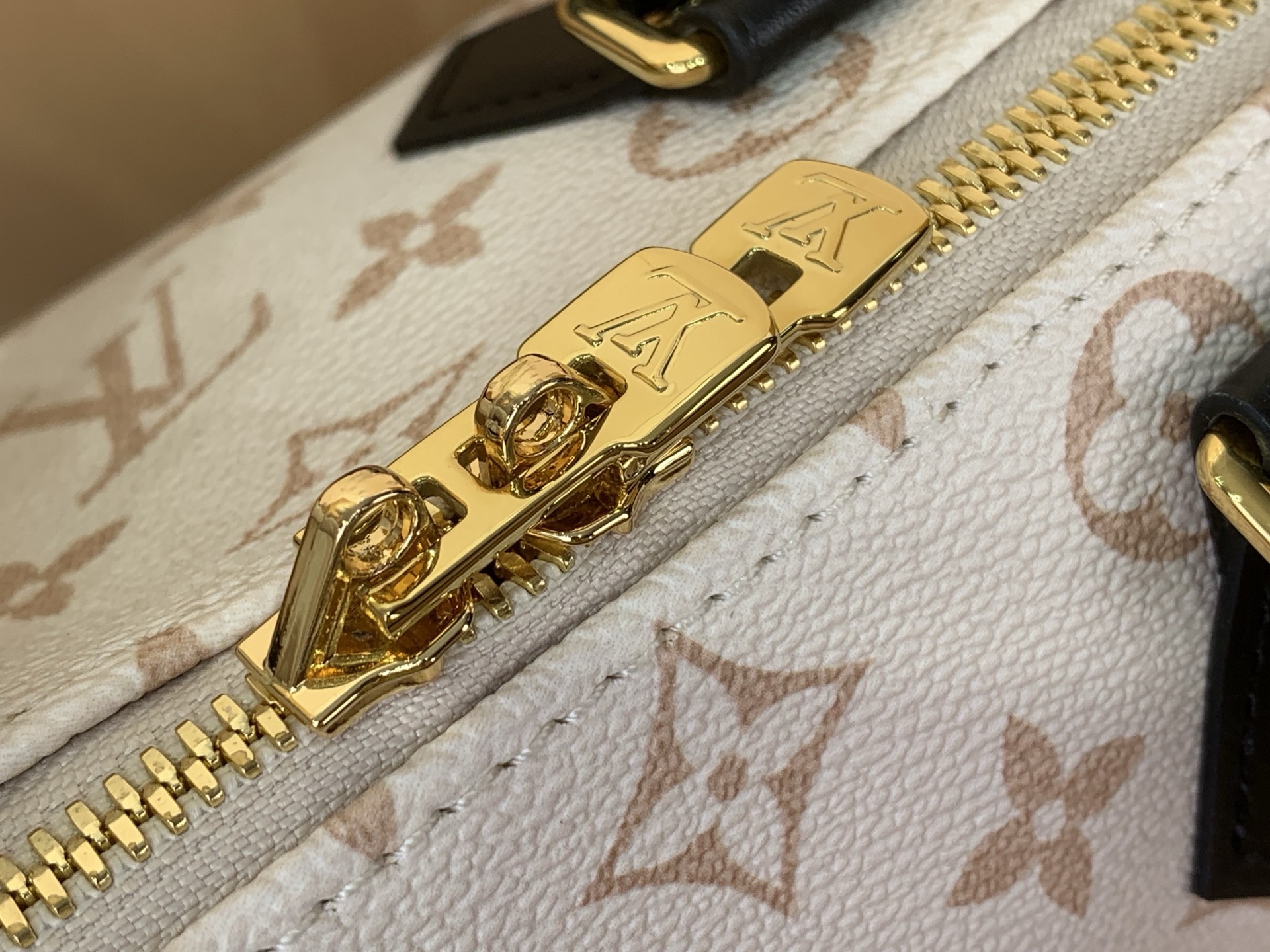 Louis Vuitton everyday