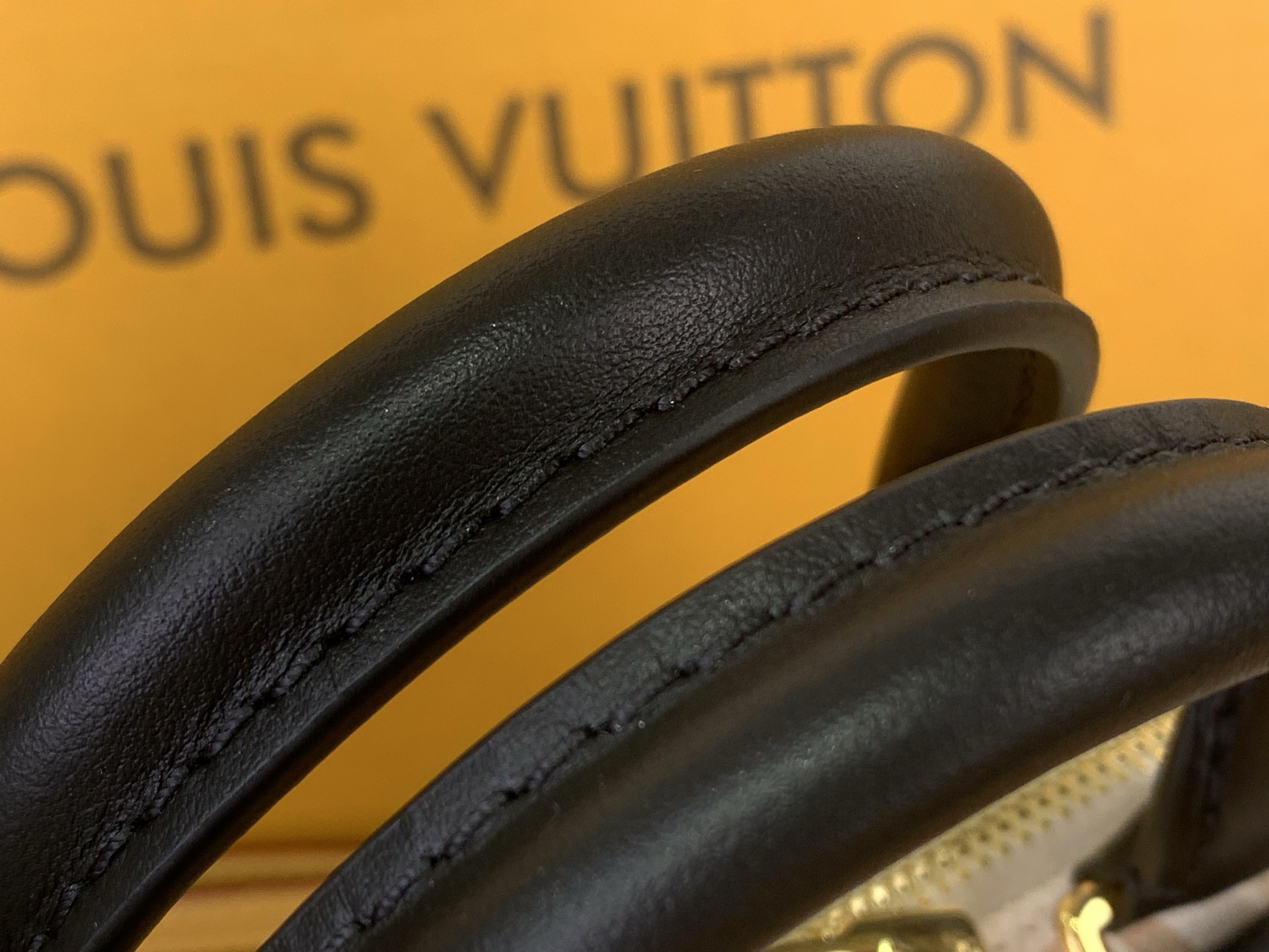 Louis Vuitton everyday