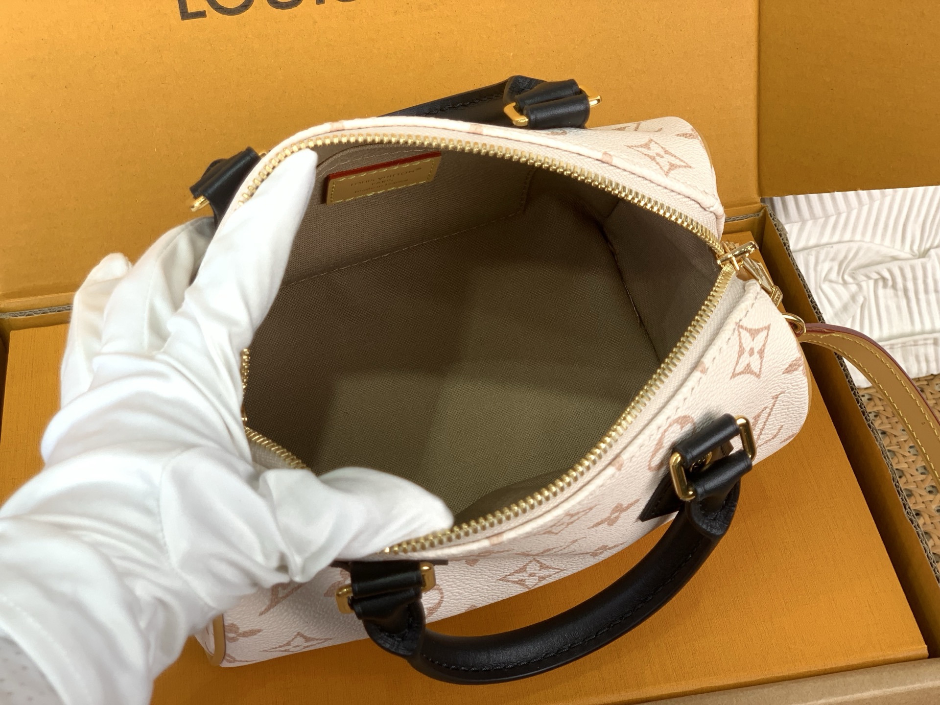 Louis Vuitton everyday