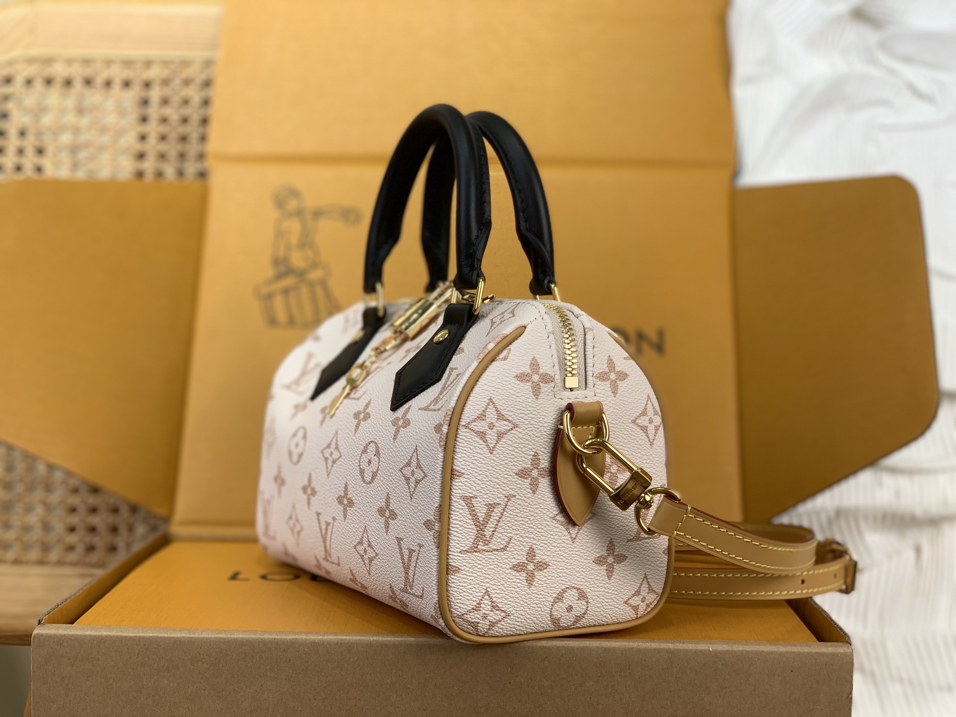 Louis Vuitton everyday