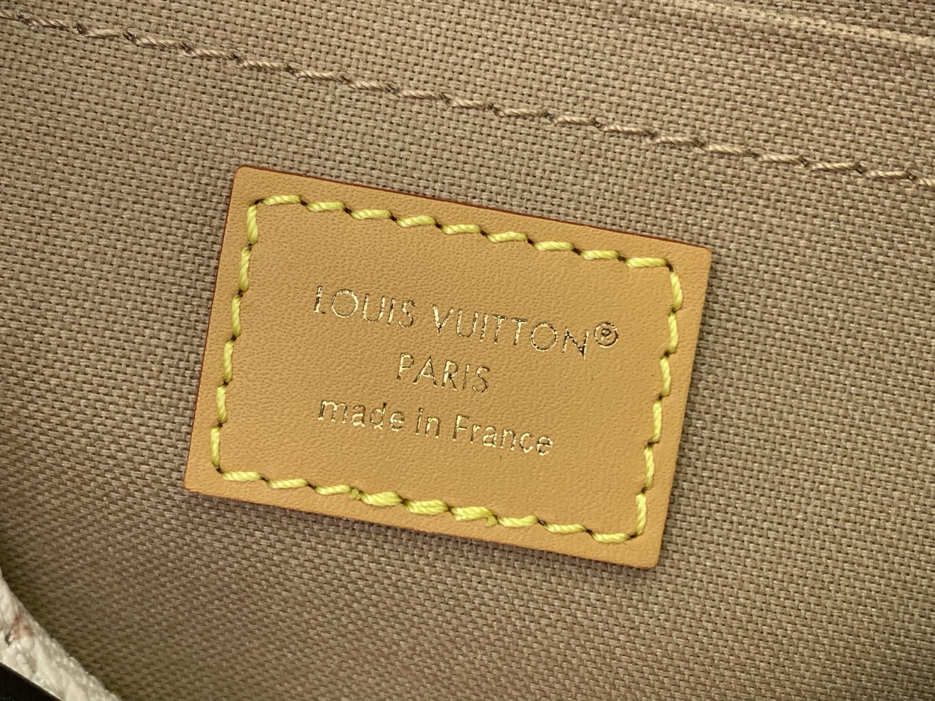 Louis Vuitton everyday