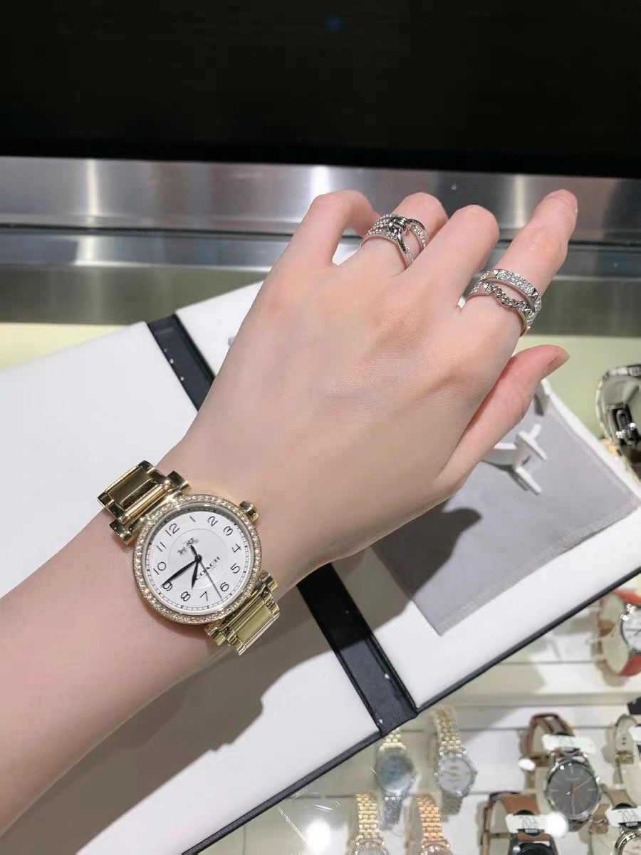 Luxury Watch Recommendation: COACH Crunch Madison – Gold, Fire, Chickens, Movado Cores, Cartier Influence - 图片 6
