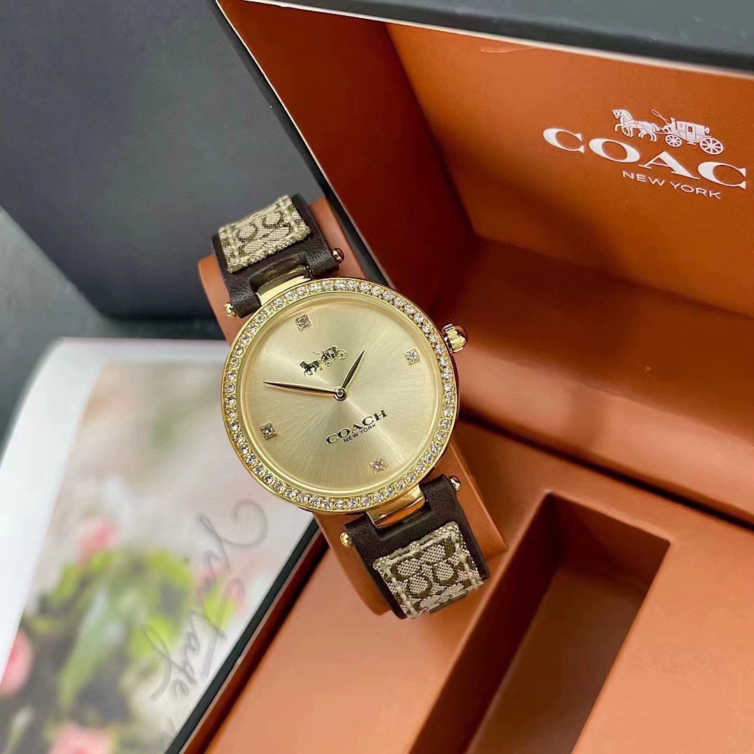 Luxury Watch Collection: COACH, Movado, Cartier – Gold, Fire, Chickens, 32mm Size - 图片 6