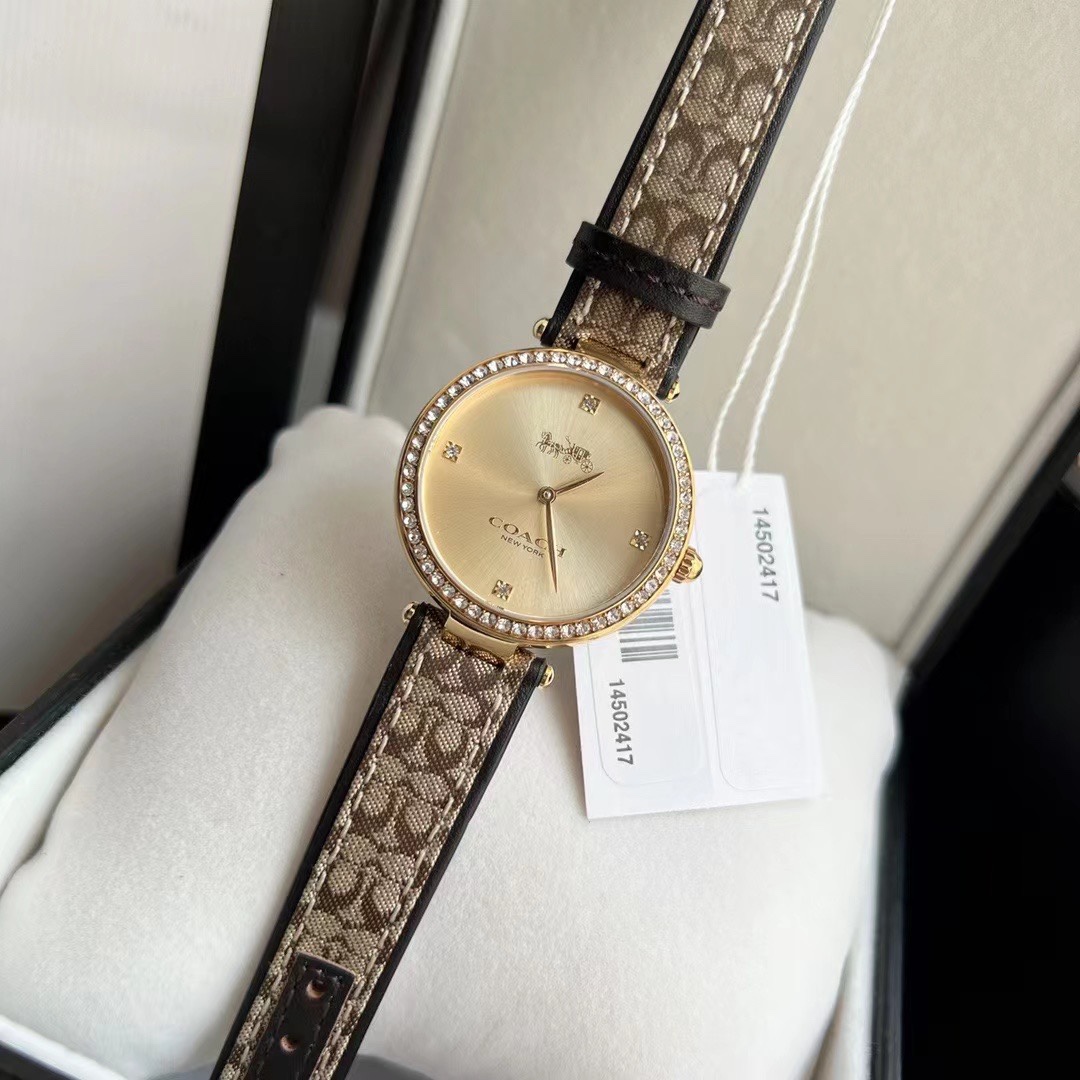 Luxury Watch Collection: COACH, Movado, Cartier – Gold, Fire, Chickens, 32mm Size - 图片 4