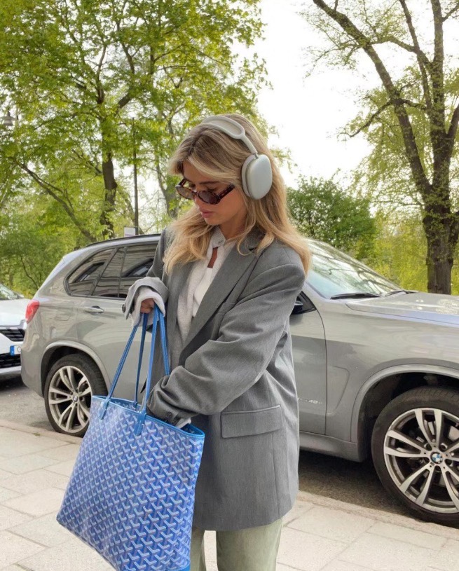 Goyard Handbags Tote Bags New Designer Replica