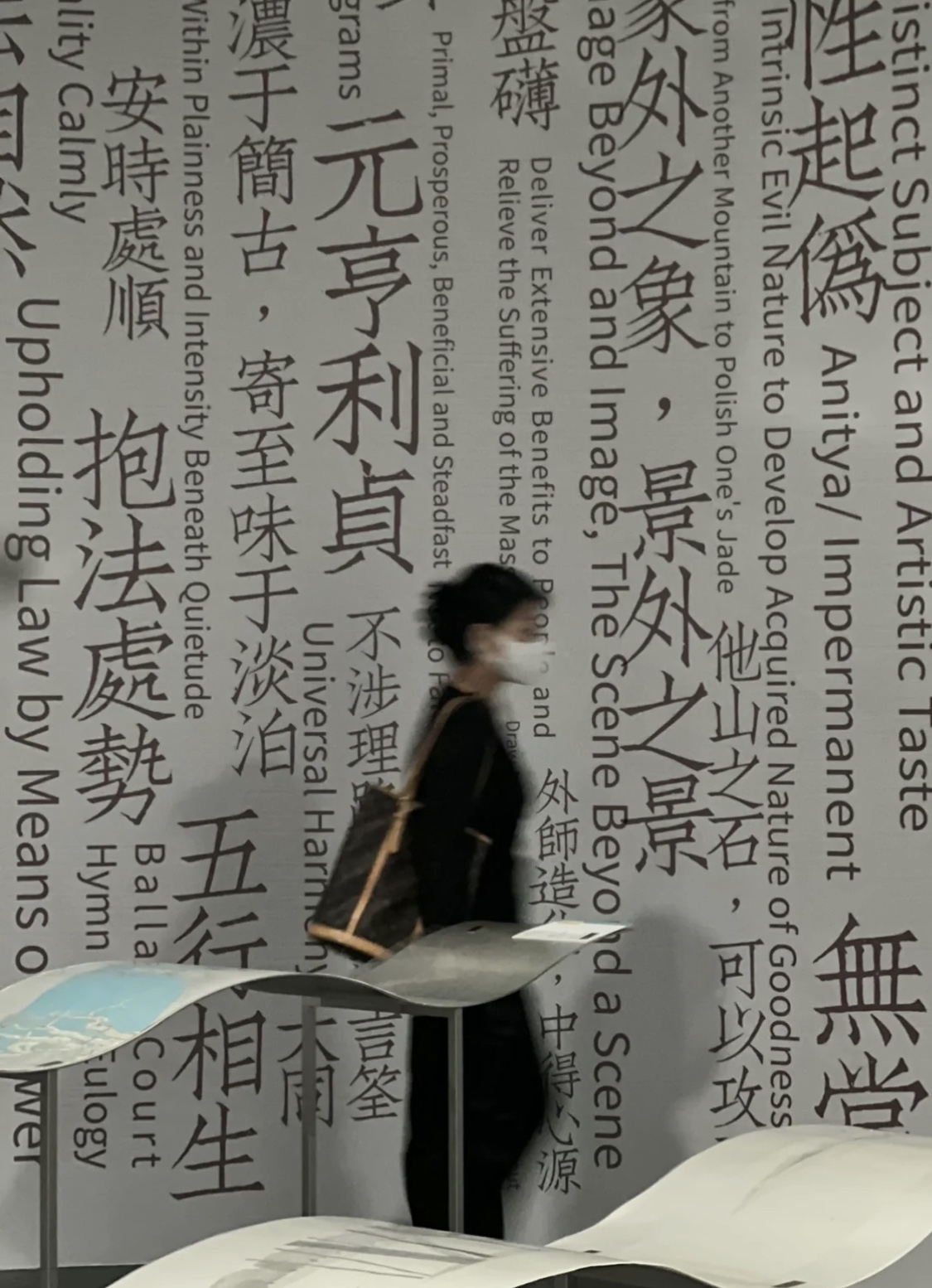 Louis Vuitton Luxury Handbag Collection 2