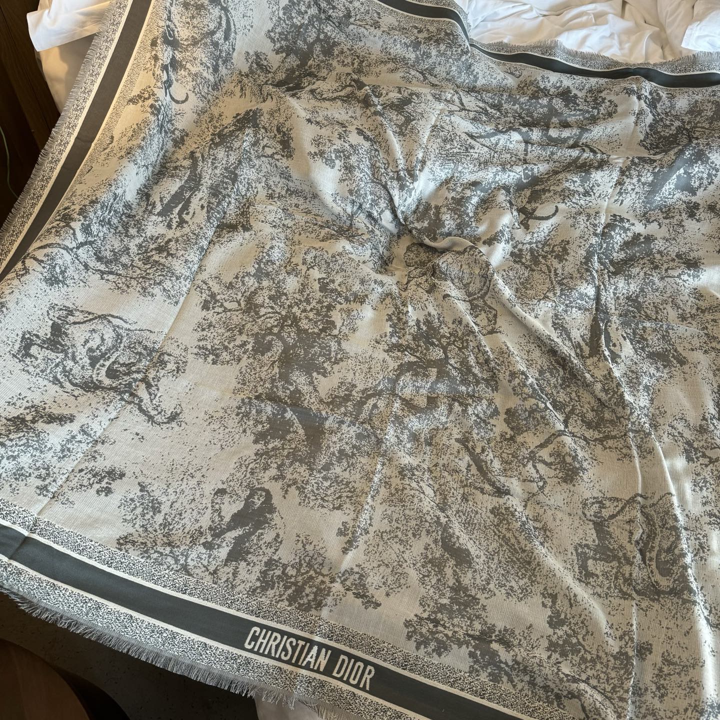 好看疯掉了简直，巨时髦！！！超级喜欢Dior这种随性不刻意凹造型的轻快时髦感，小小的尺寸让搭配更显氛围美