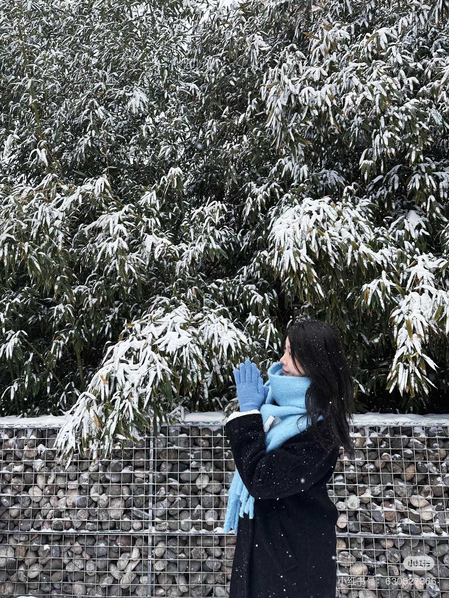 2025小红书最新走火爆款 COS品牌 🪐✨经典大土星马海毛围巾🧣英国时装设计师，时装的朋克之母！时尚潮