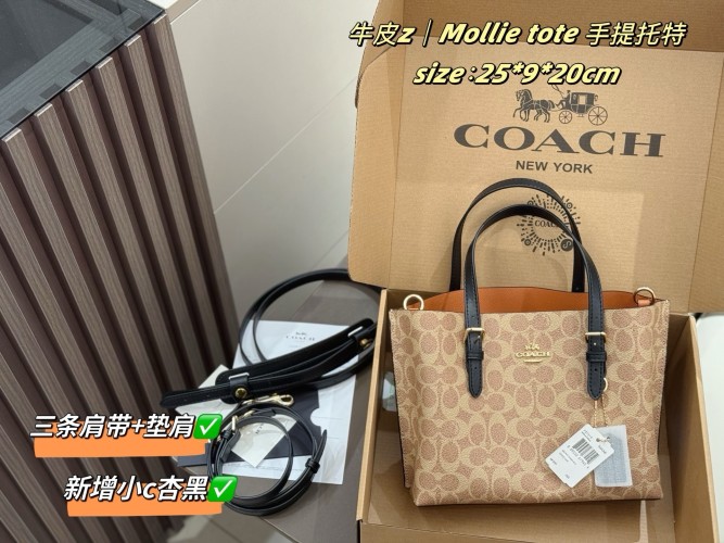 Coach Mollie 25 Small Tote Bag, Lightweight, Versatile, and Stylish 1 Coach Mollie 25 Small Tote Bag, Lightweight, Versatile, and Stylish