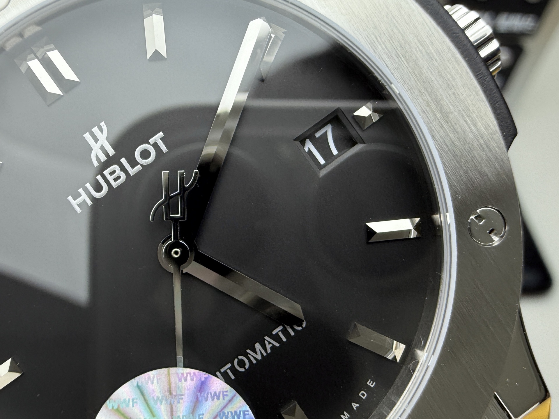 Hublot WWF 融合