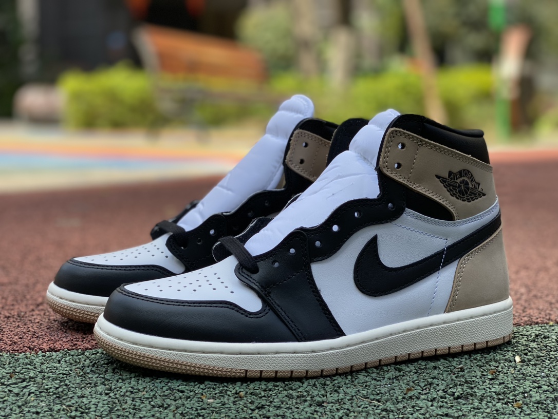 Air jordan 1 high 118