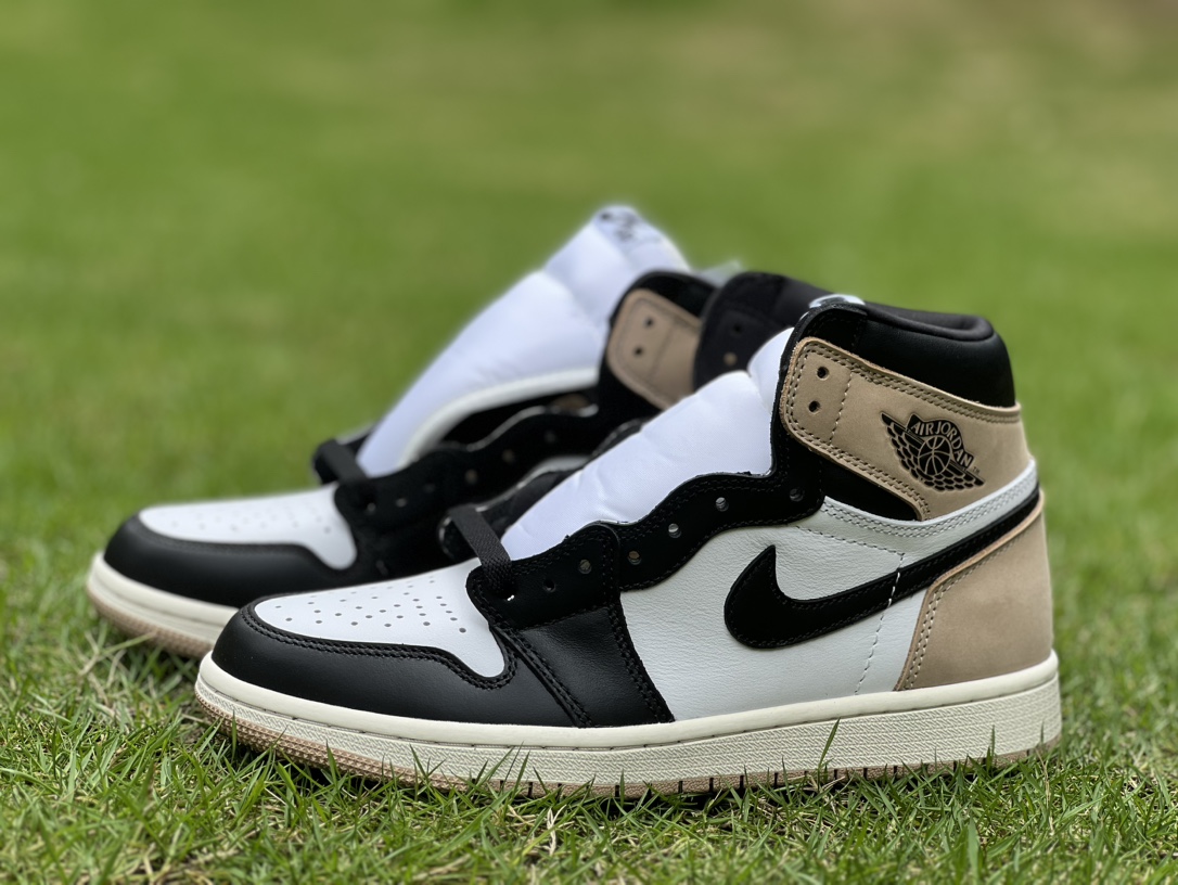 Air jordan 1 high 108