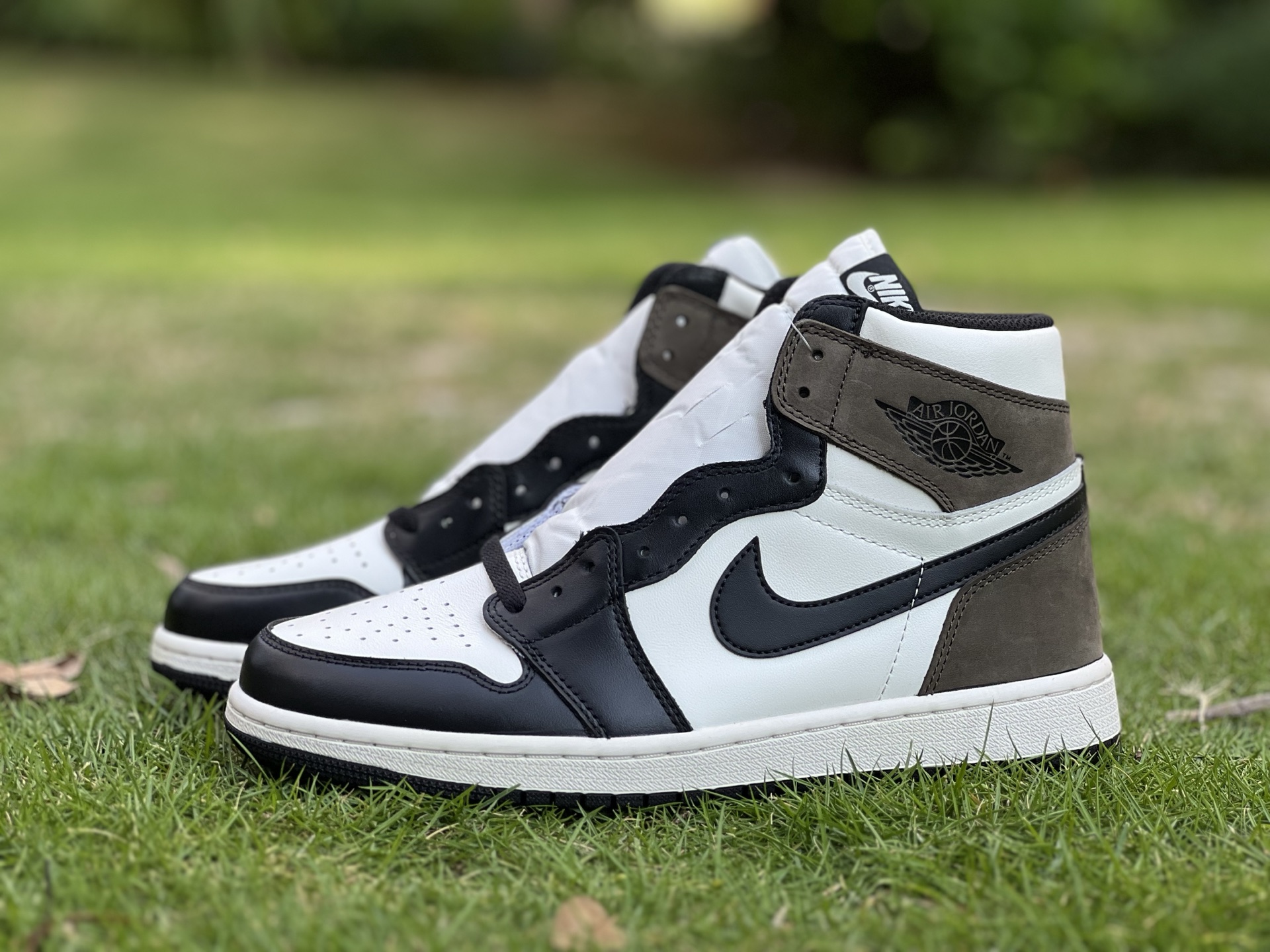 Air jordan 1 high 051
