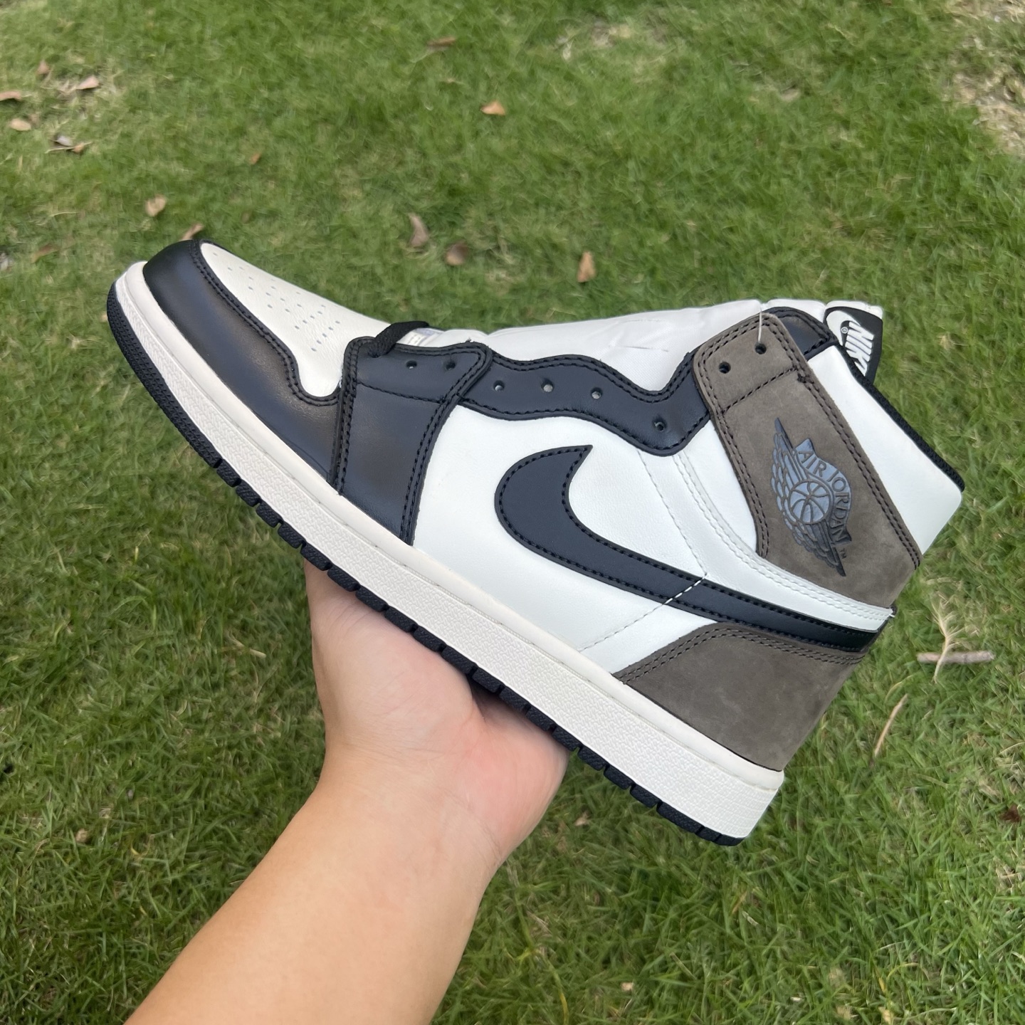 Air jordan 1 high 050