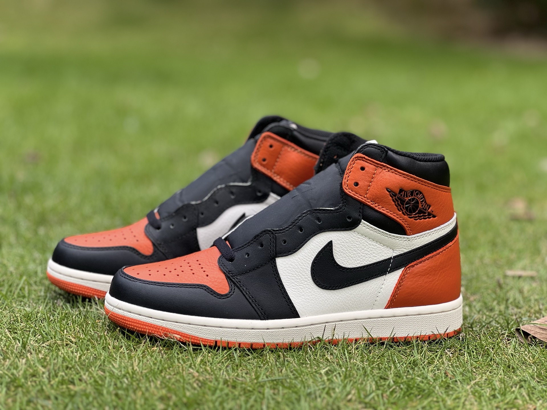 Air jordan 1 high 049