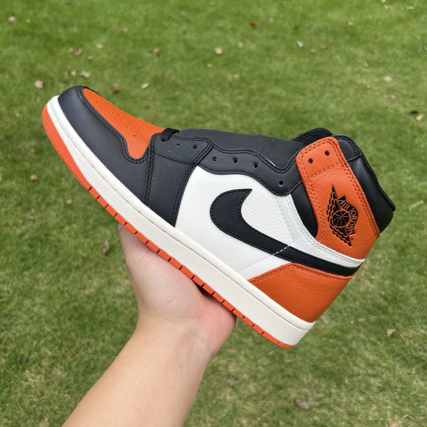 Air jordan 1 high 048