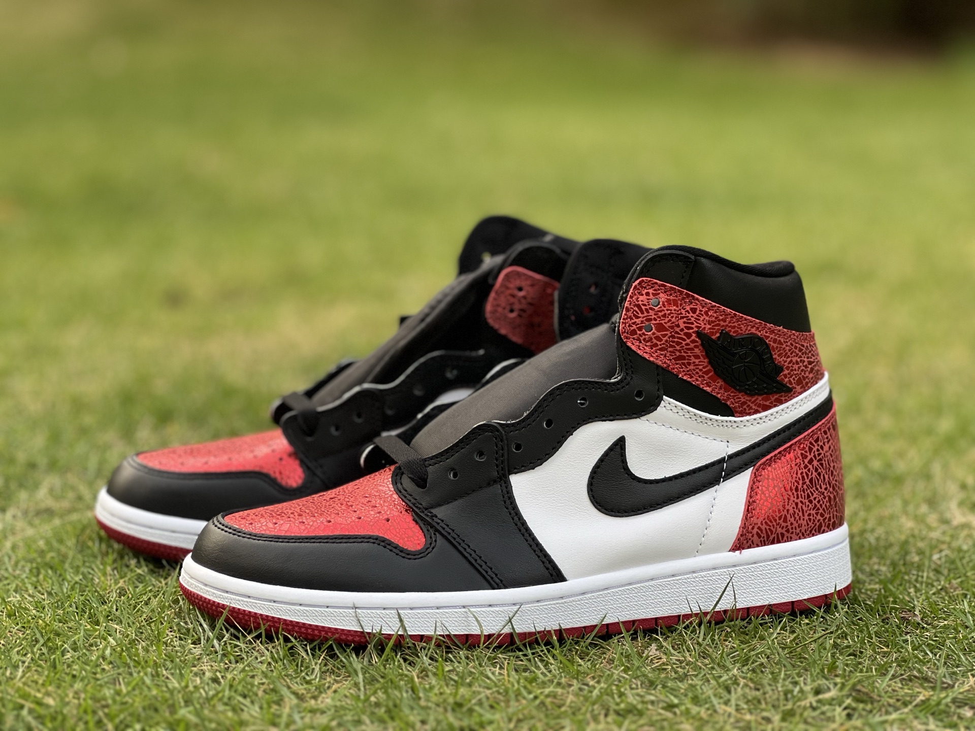 Air jordan 1 high 042