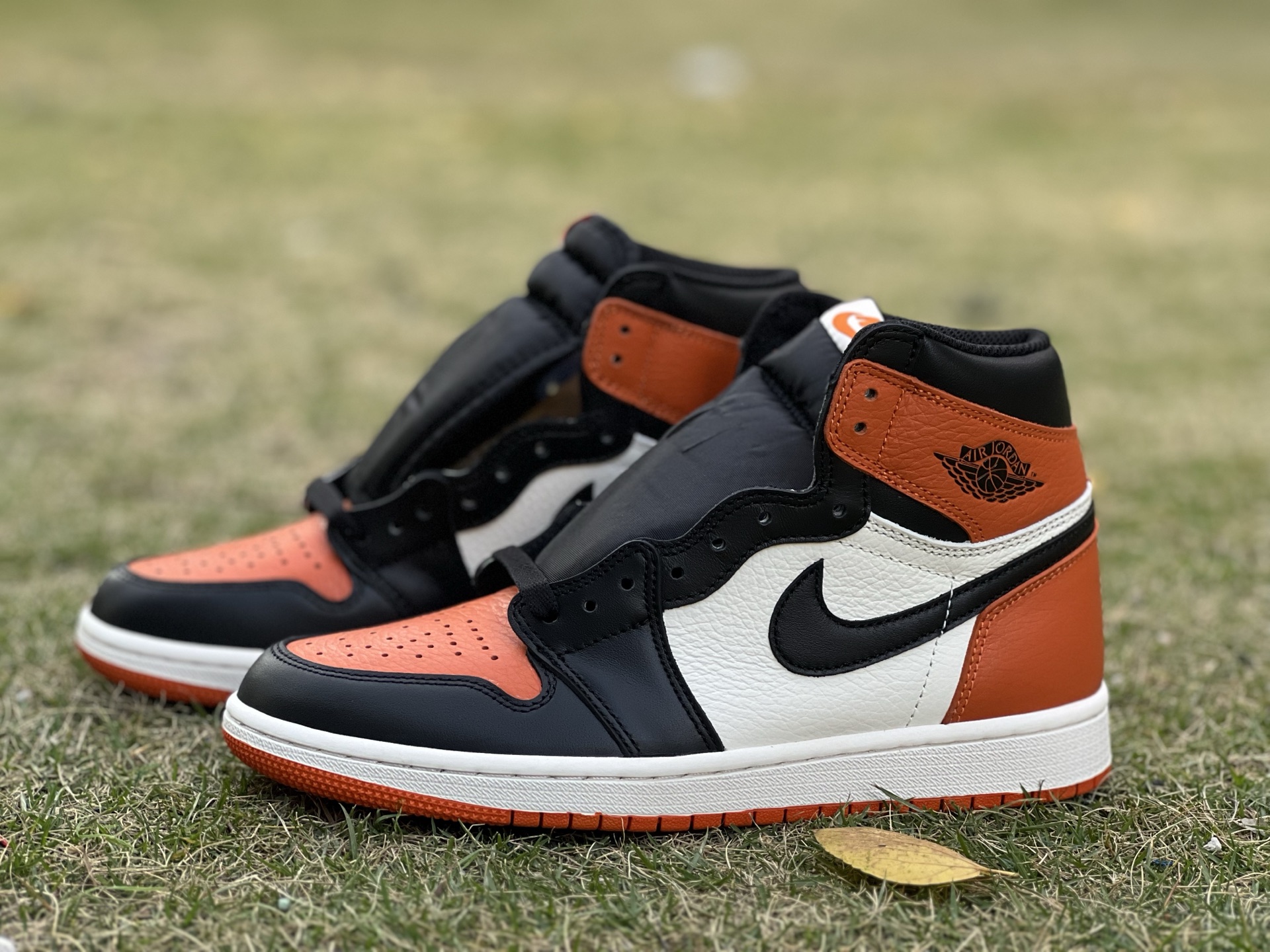 Air jordan 1 high 037