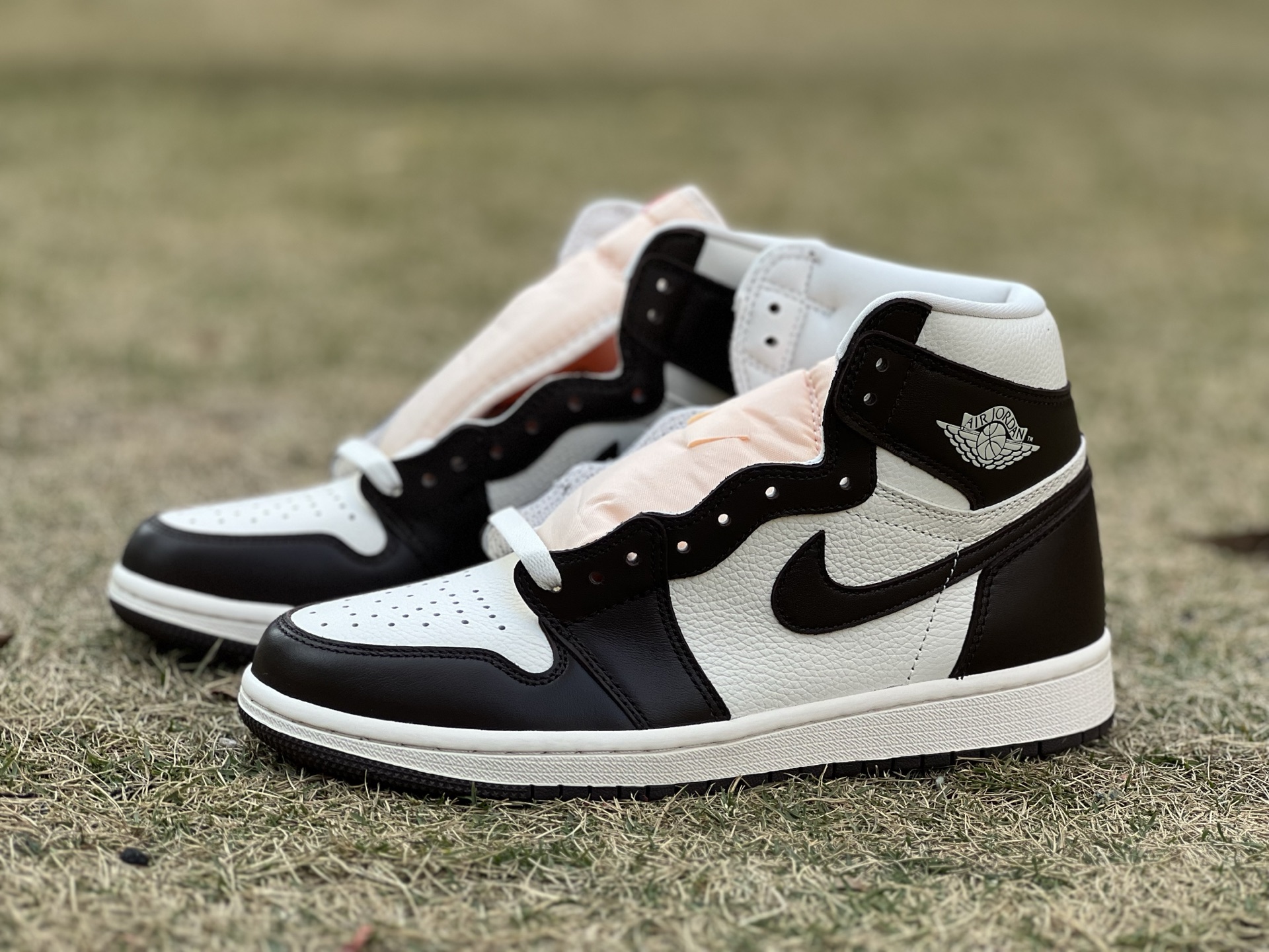 Air jordan 1 high 029