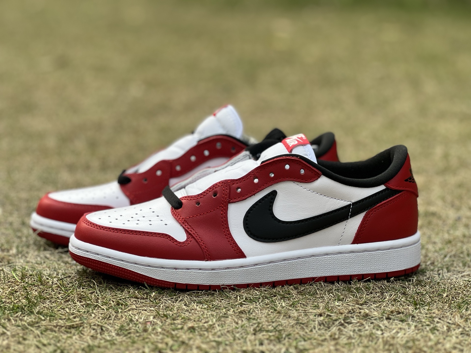 Air jordan 1 low 141