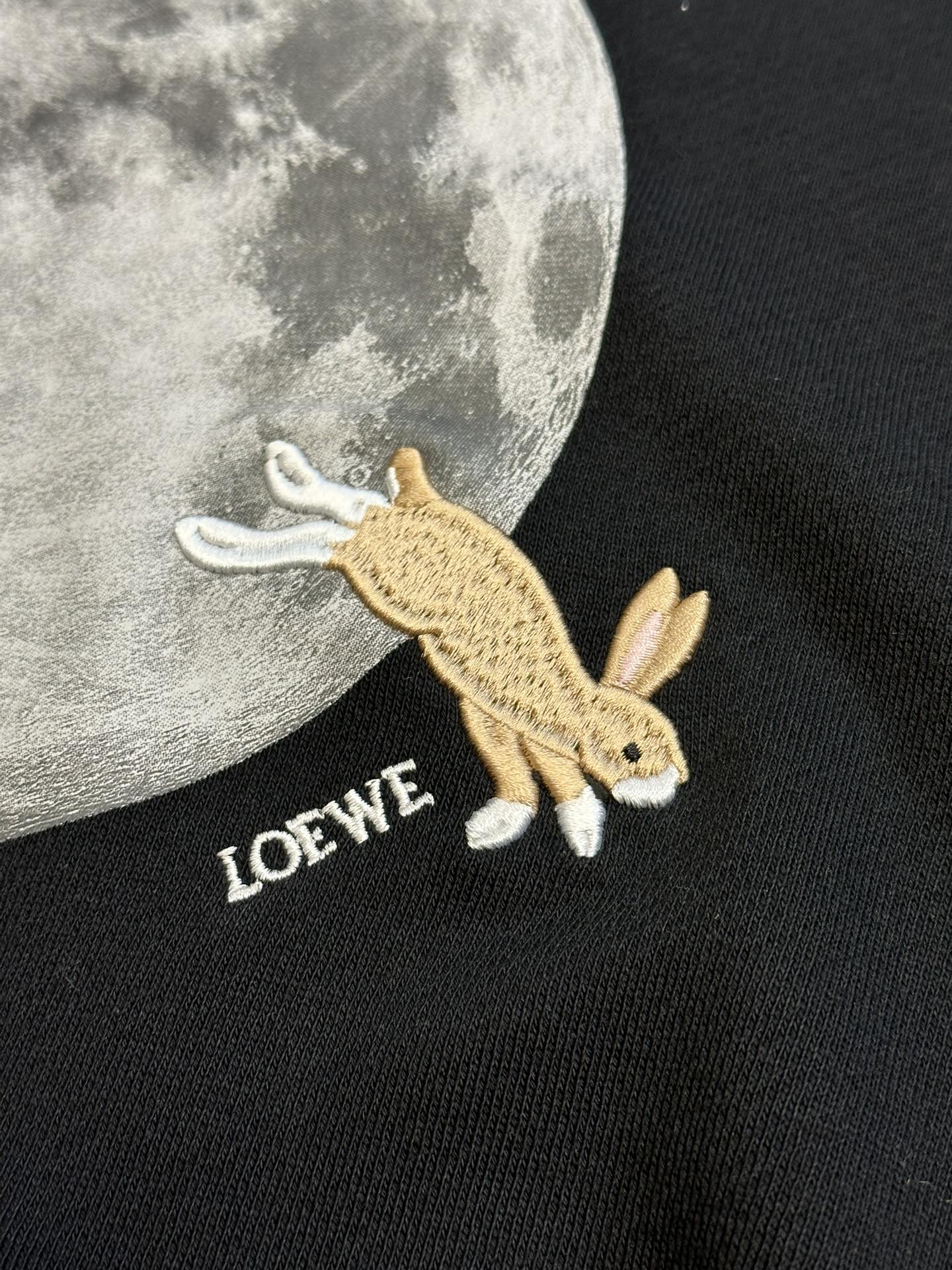 Loewe 月球连帽卫衣 9