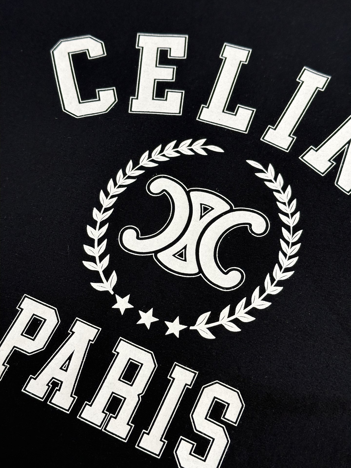 CELINE Selin Long-Sleeved T-Shirt in 100% Pure Cotton with University Stamp - 图片 6