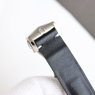 Omega Seamaster Aqua Terra 150M 39mm detail 8