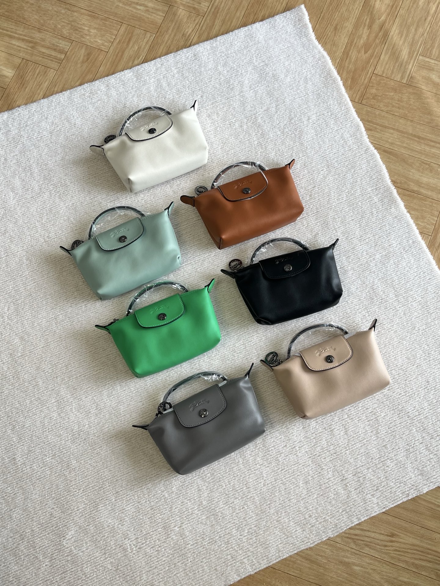 Longchamp bag has a new style