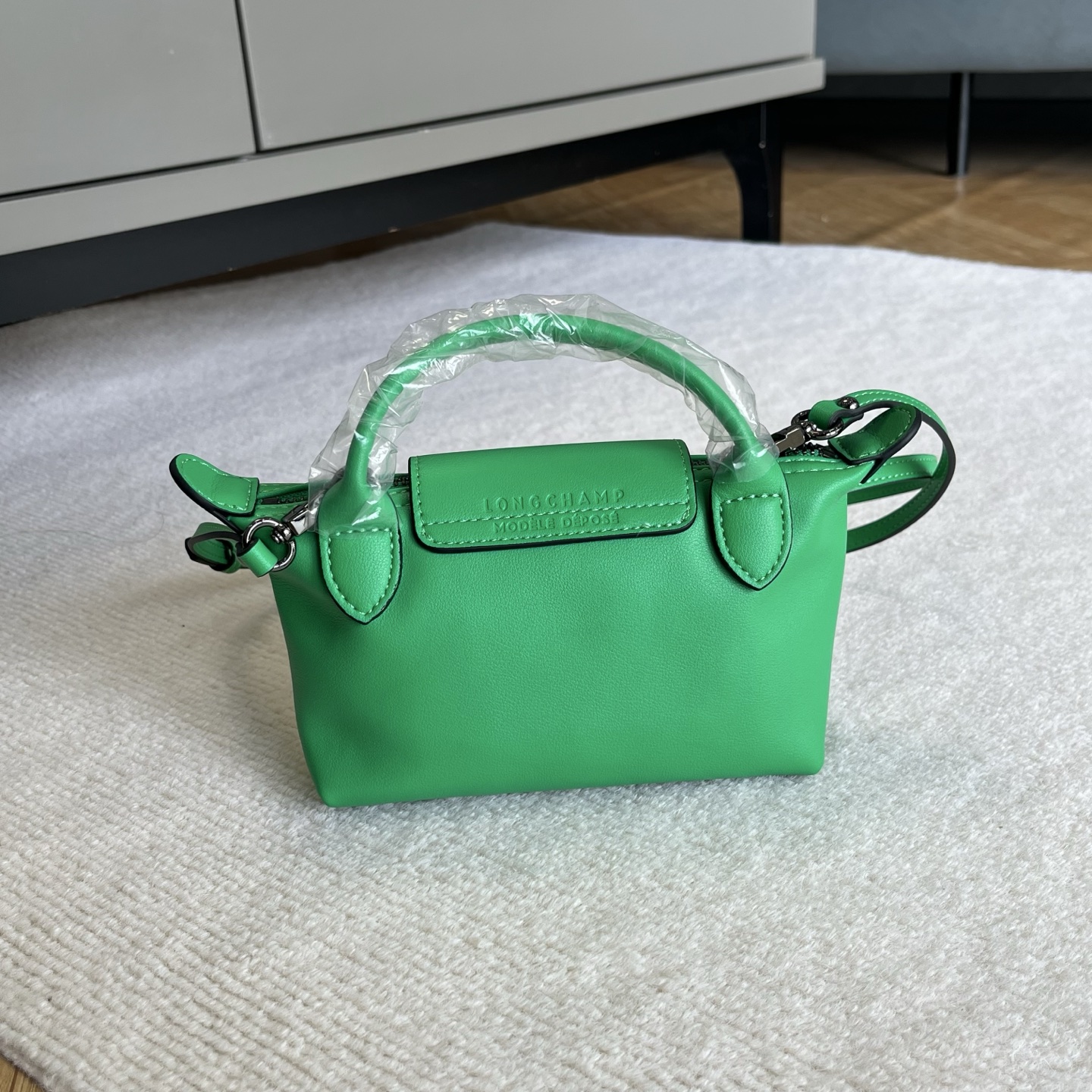 Longchamp Green details