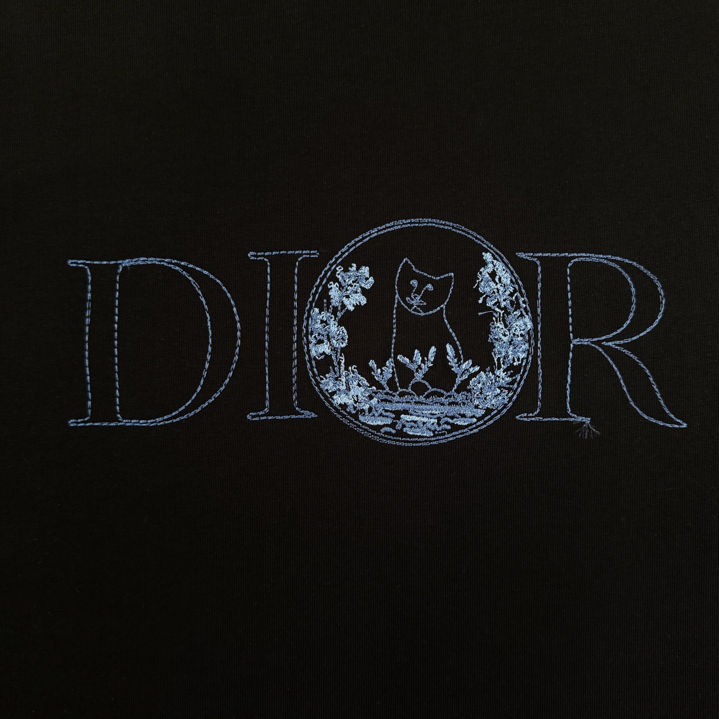 Dior DIOR/迪奥 高品质320克圆领短袖T恤