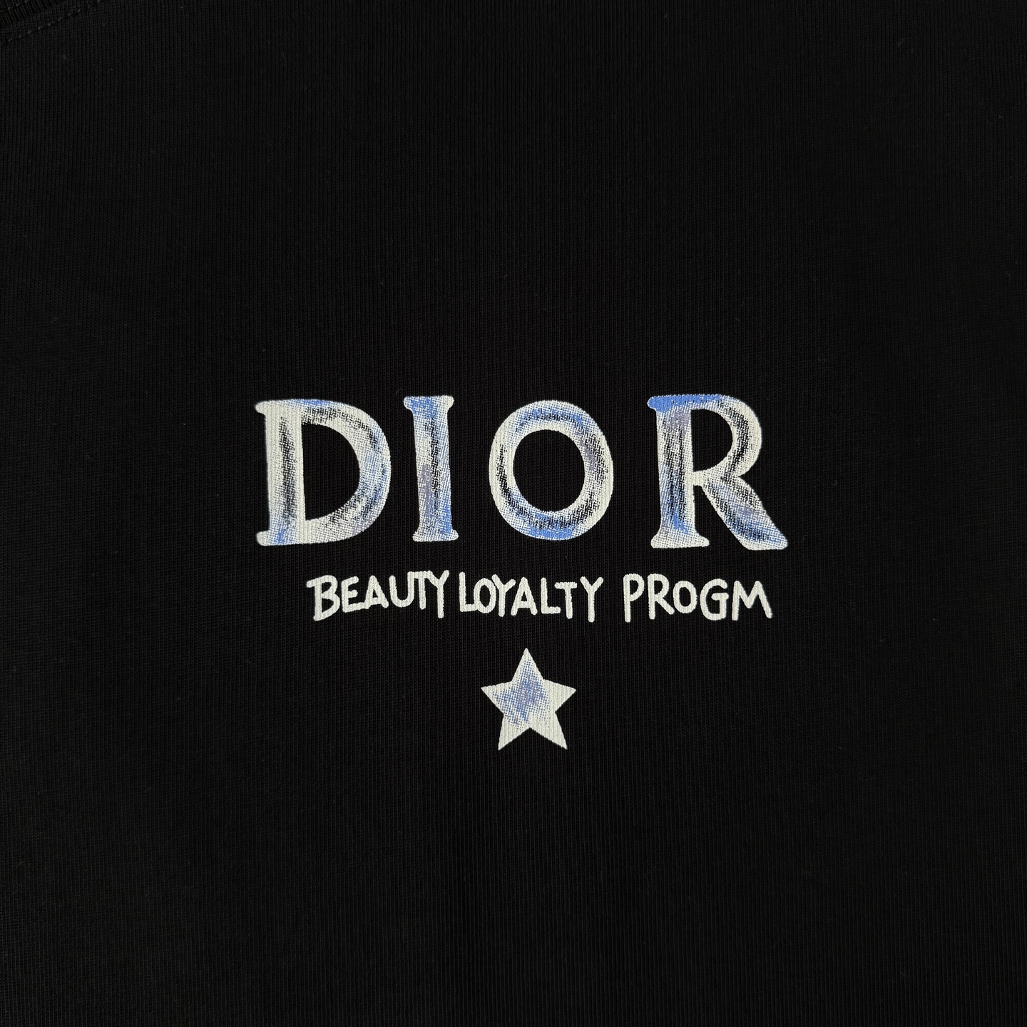 Dior DIOR/迪奥 高品质320克圆领短袖T恤