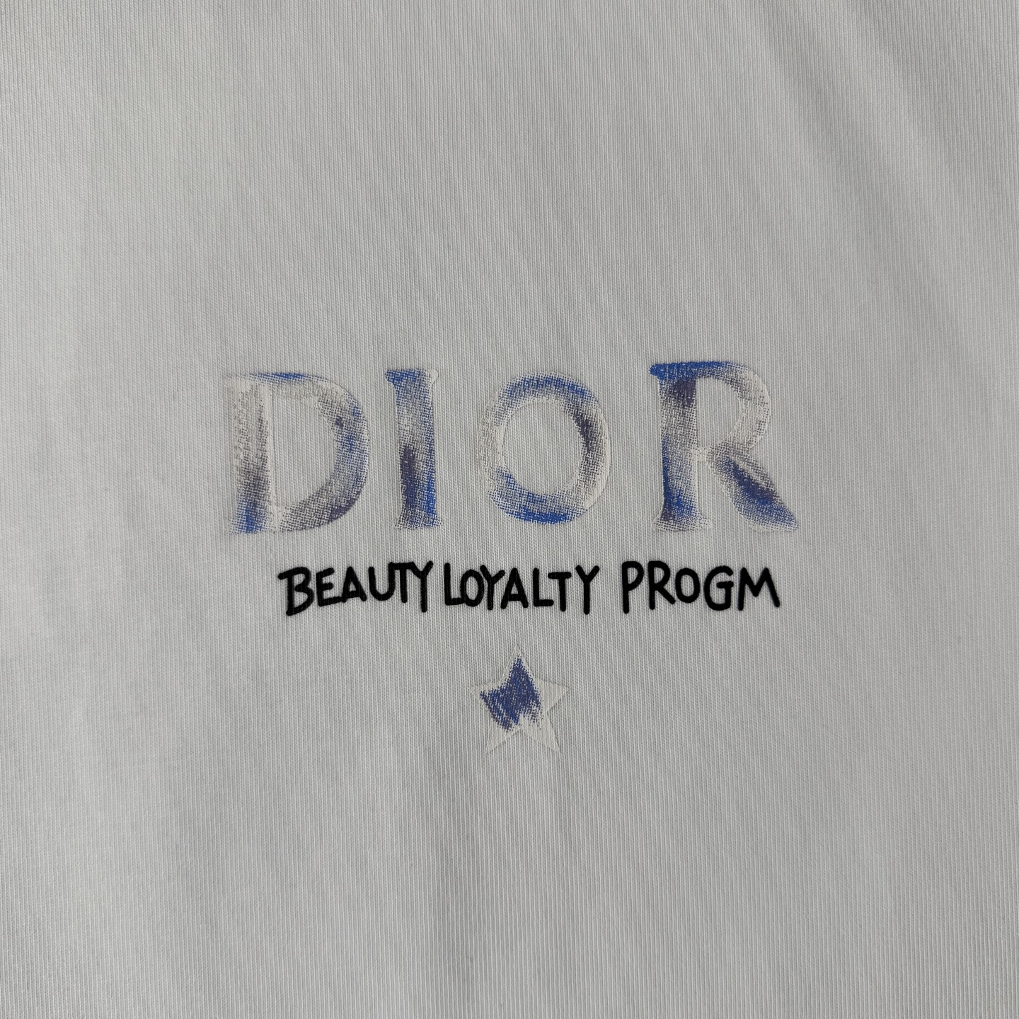 Dior DIOR/迪奥 高品质320克圆领短袖T恤
